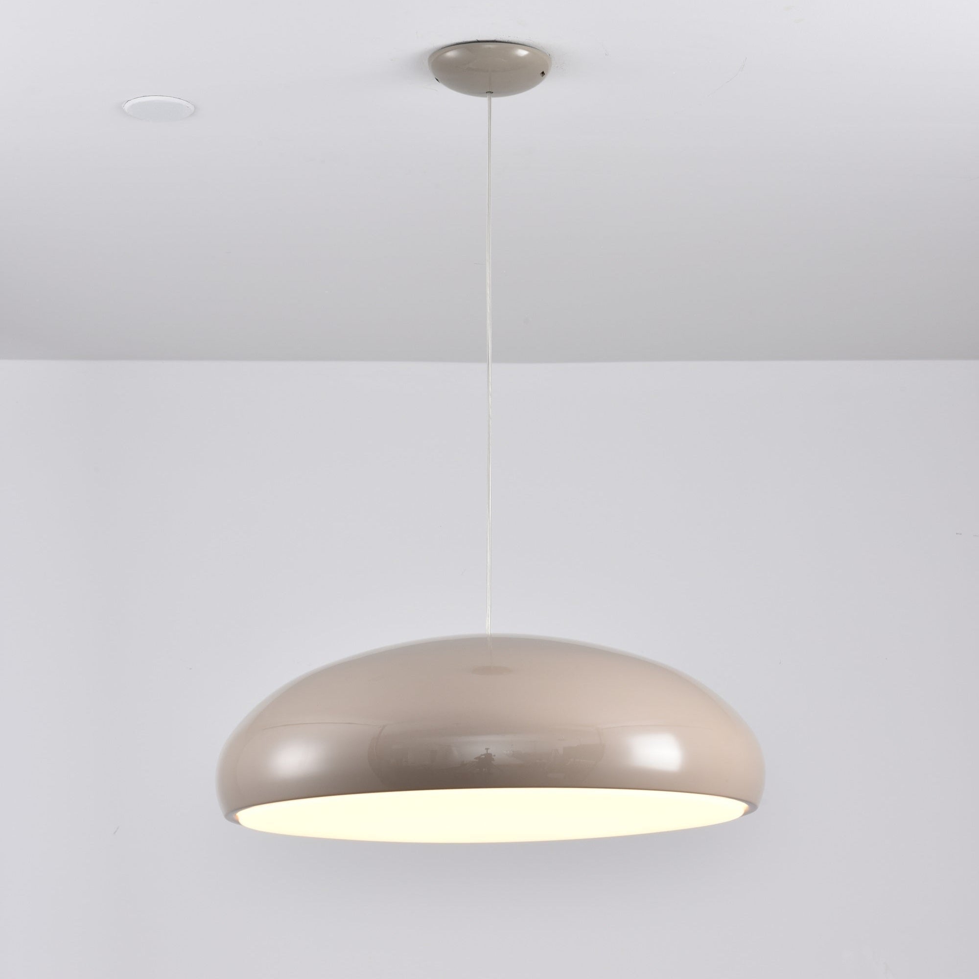 Renaraine Minimalist Pendant Lamp