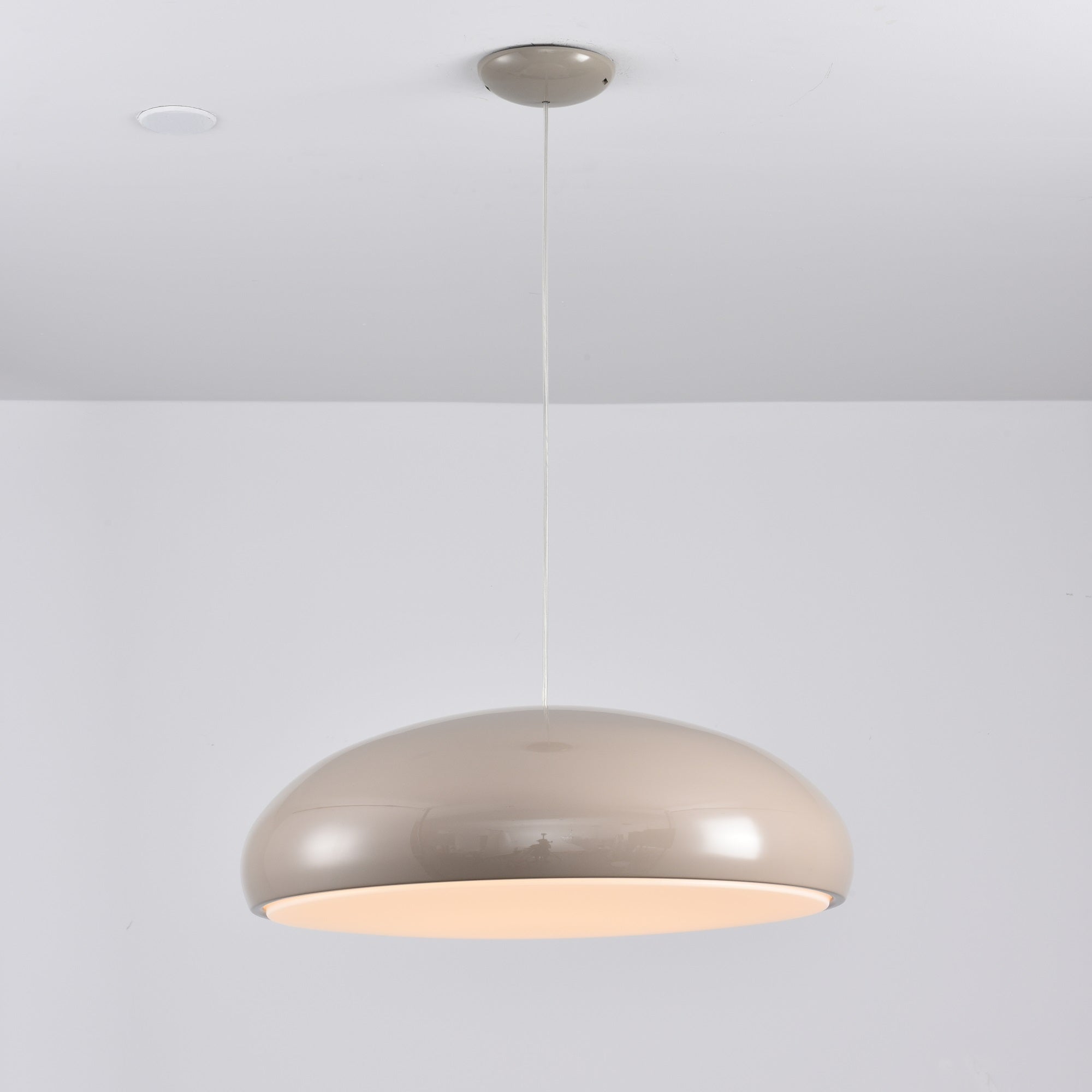 Renaraine Minimalist Pendant Lamp