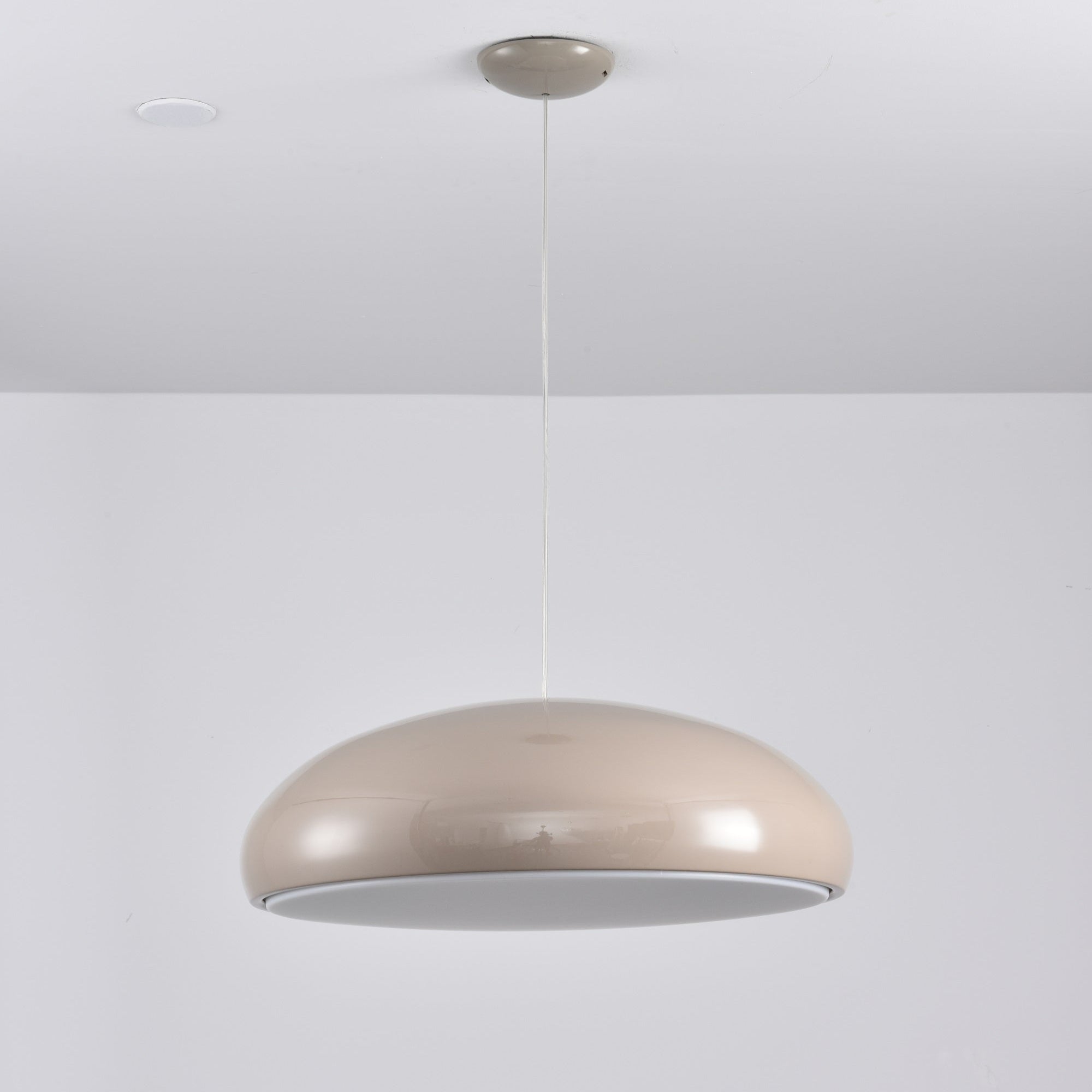 Renaraine Minimalist Pendant Lamp
