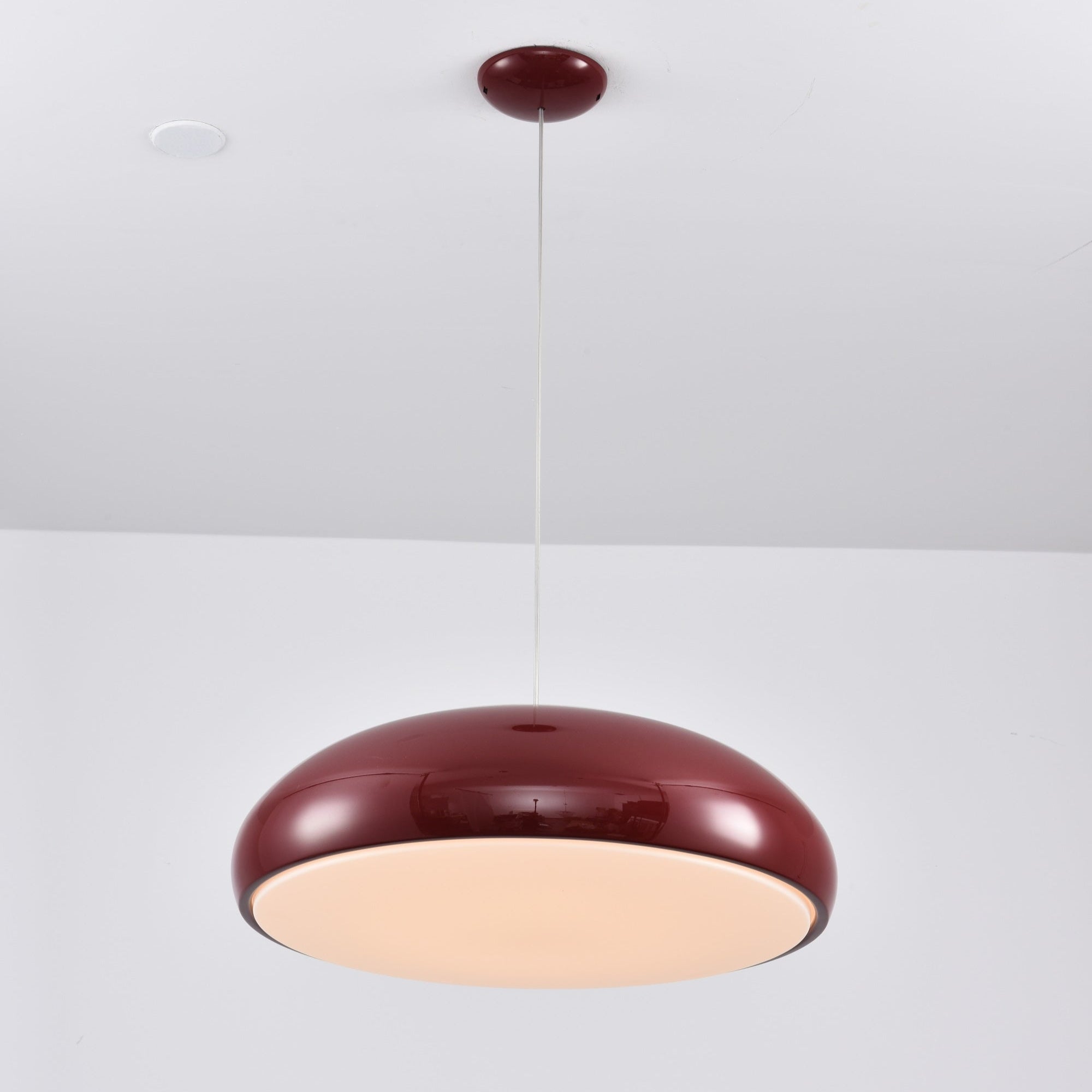 Renaraine Minimalist Pendant Lamp