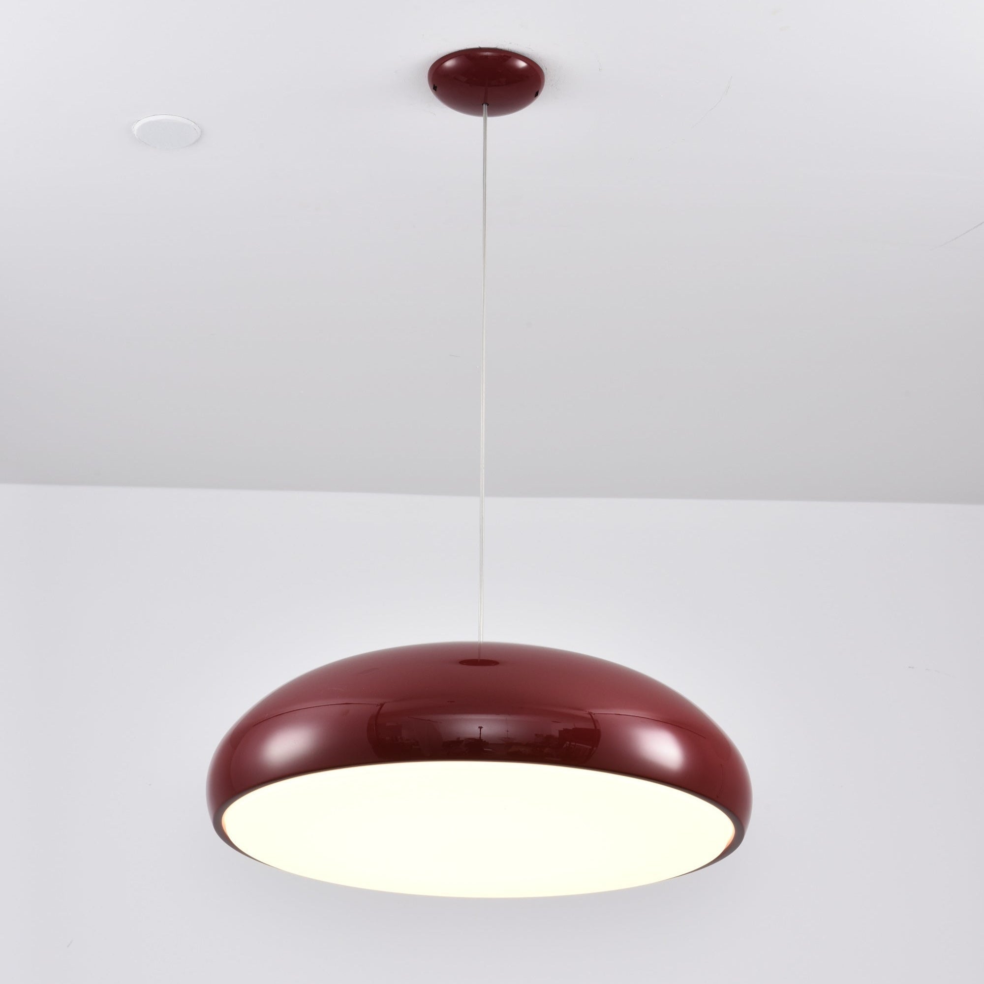 Renaraine Minimalist Pendant Lamp