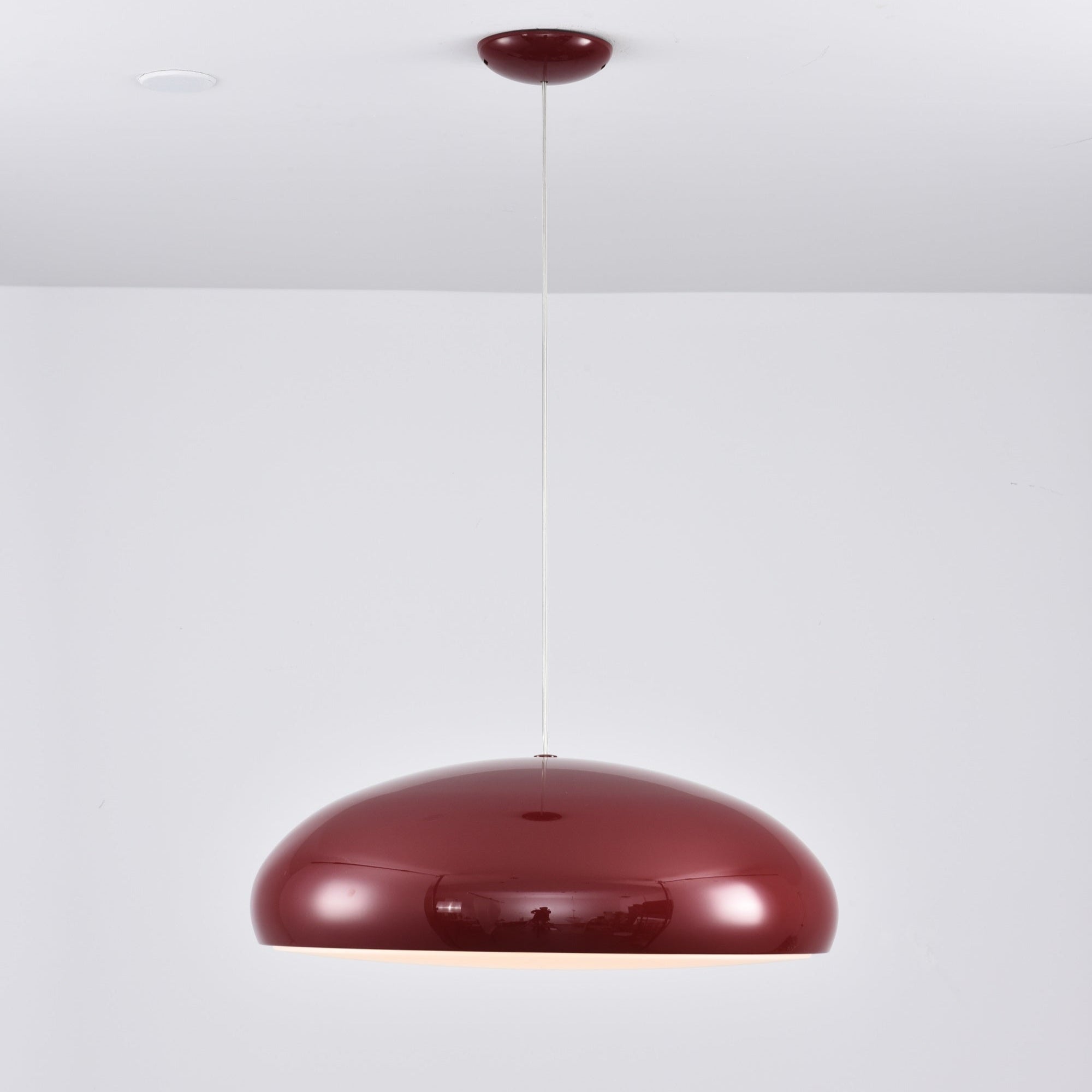 Renaraine Minimalist Pendant Lamp
