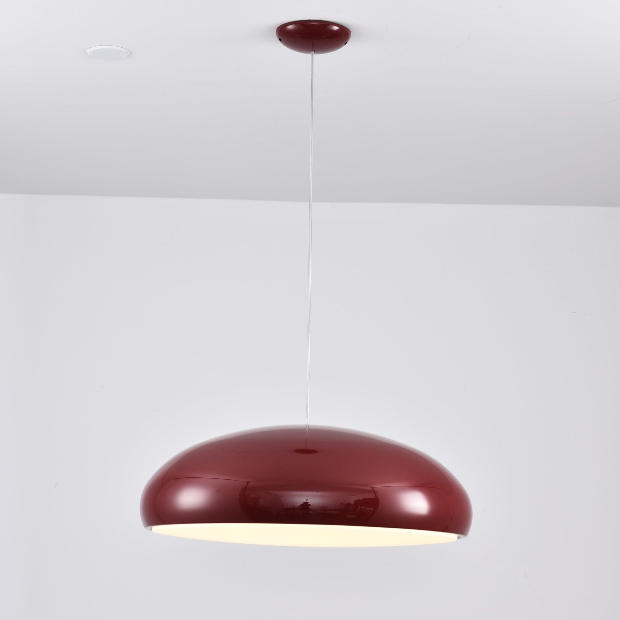 Renaraine Minimalist Pendant Lamp