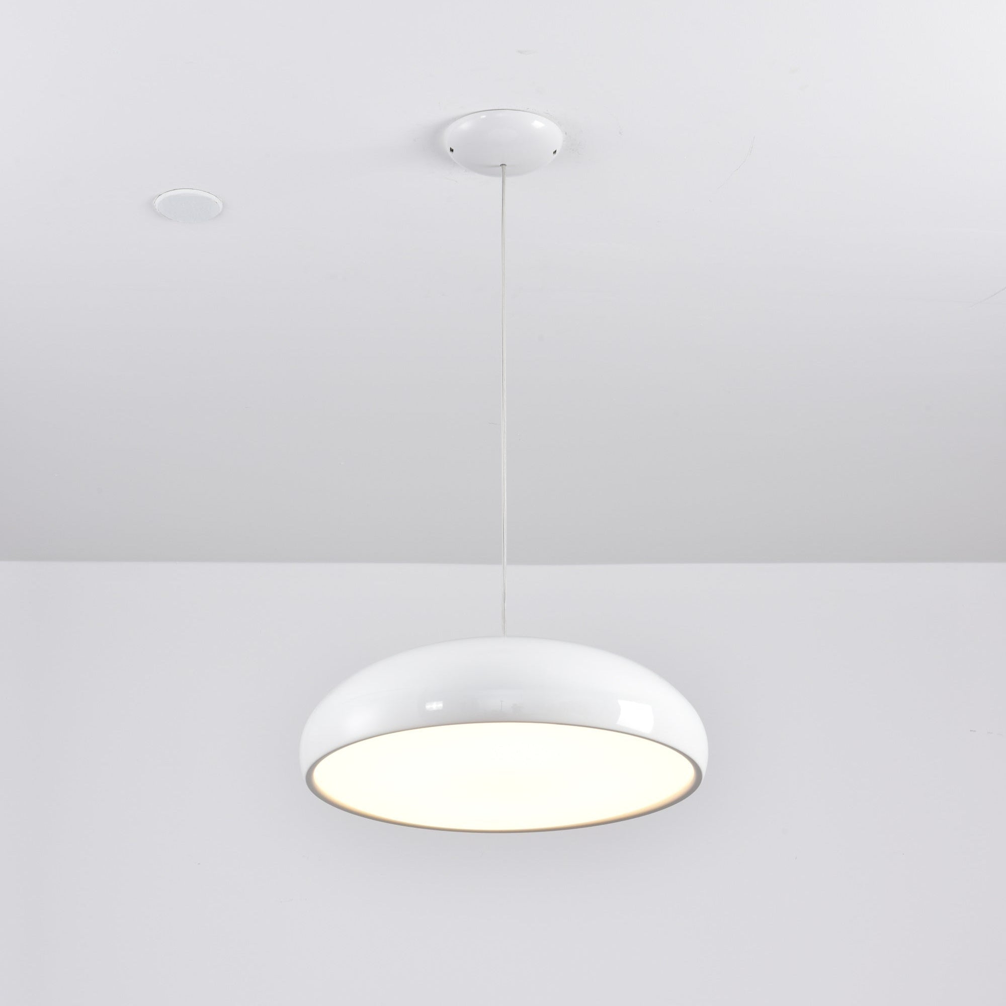 Renaraine Minimalist Pendant Lamp