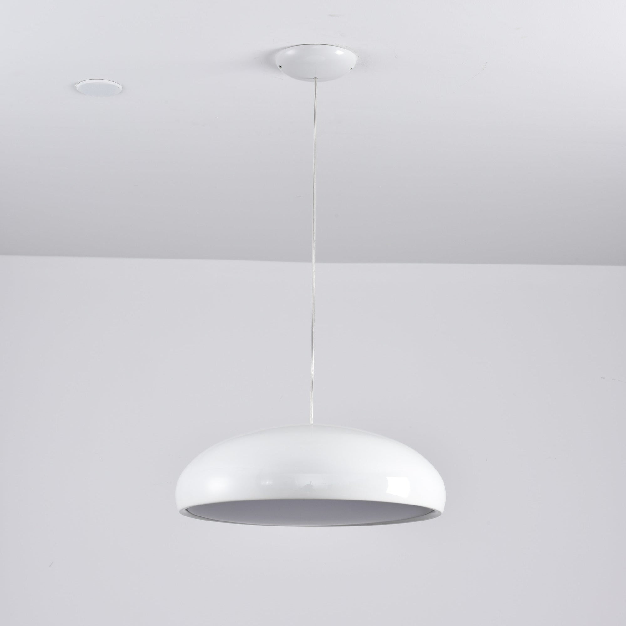 Renaraine Minimalist Pendant Lamp