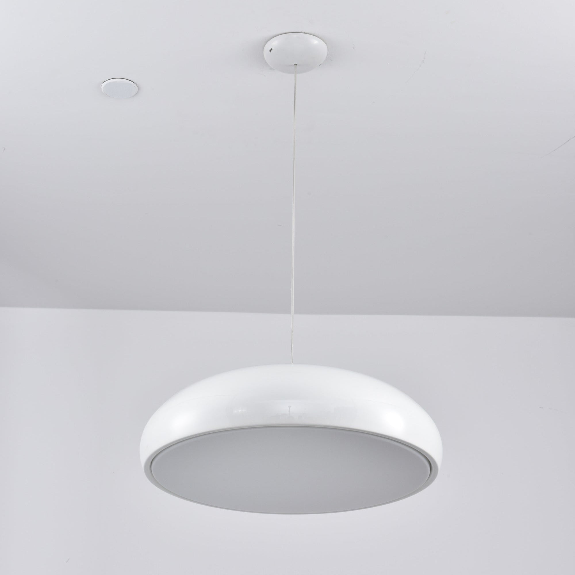 Renaraine Minimalist Pendant Lamp