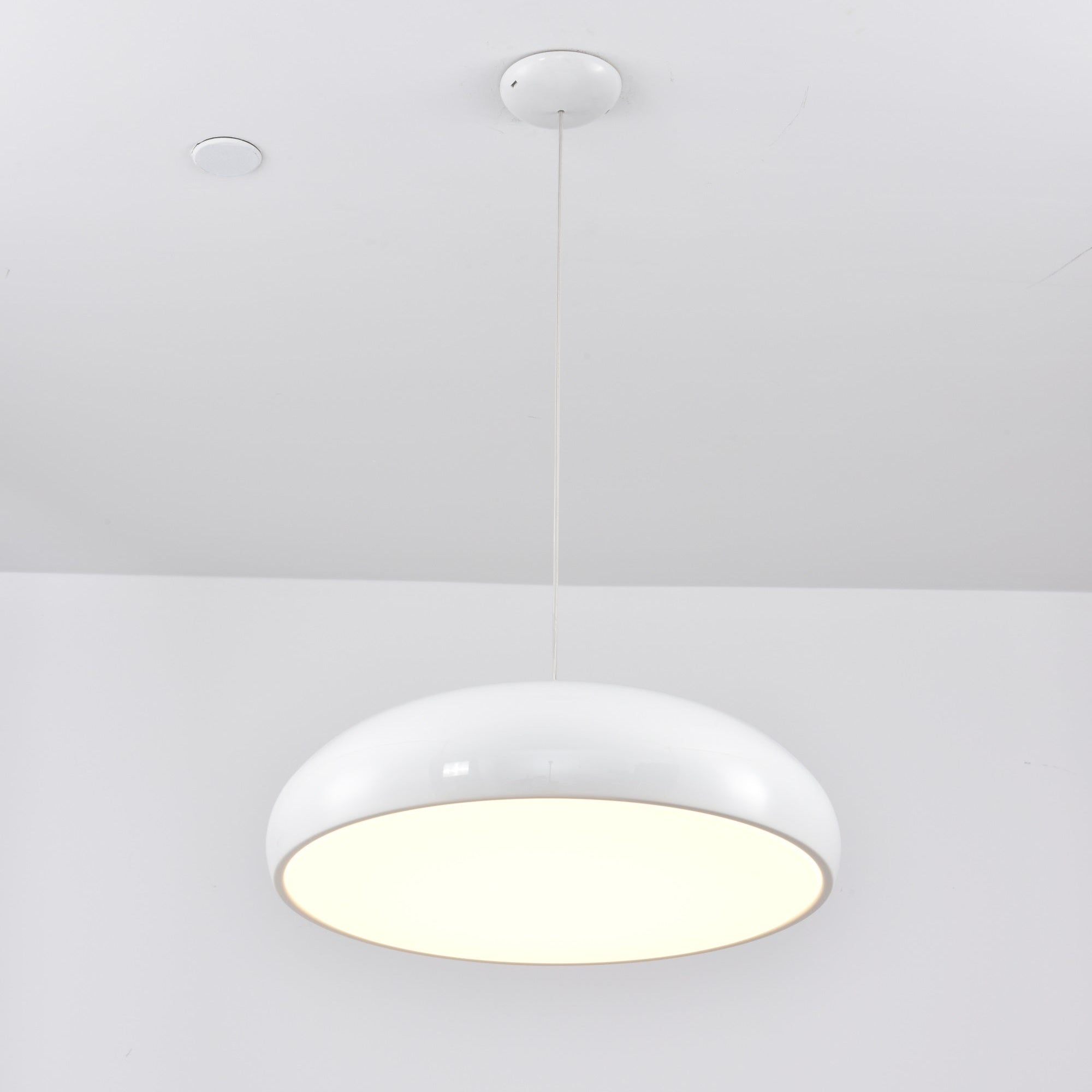Renaraine Minimalist Pendant Lamp