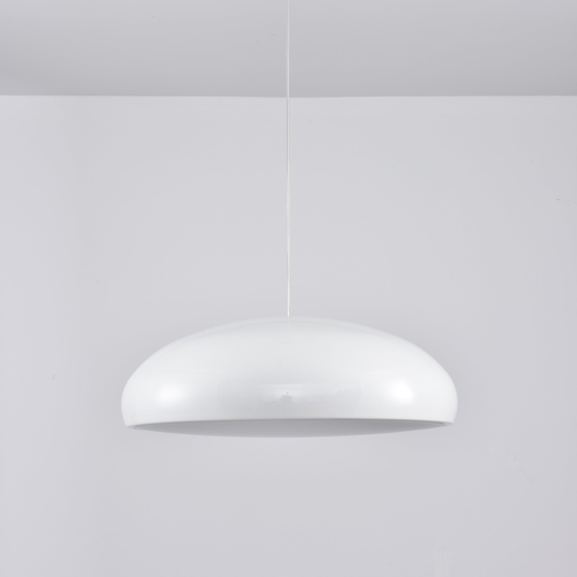 Renaraine Minimalist Pendant Lamp