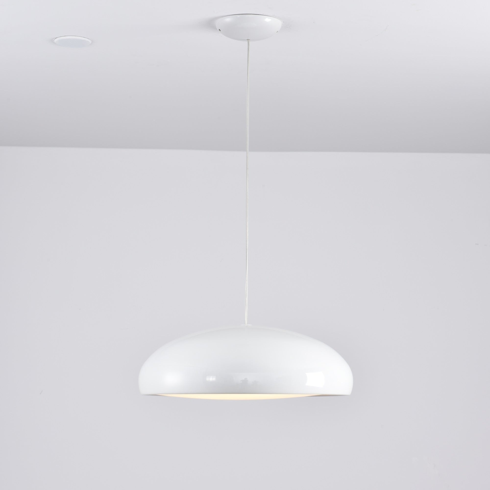 Renaraine Minimalist Pendant Lamp