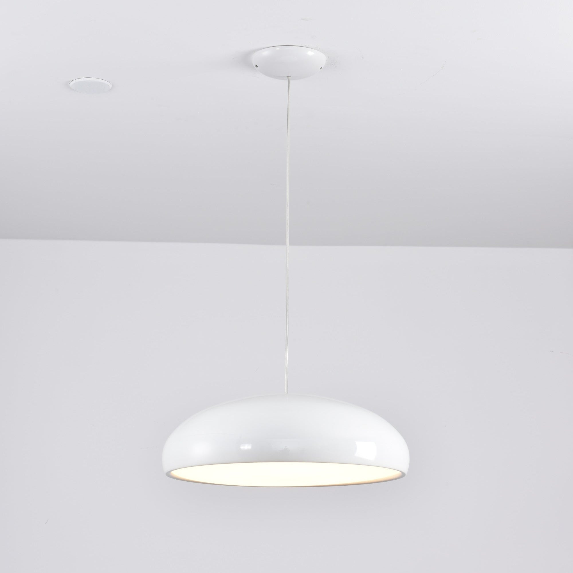 Renaraine Minimalist Pendant Lamp