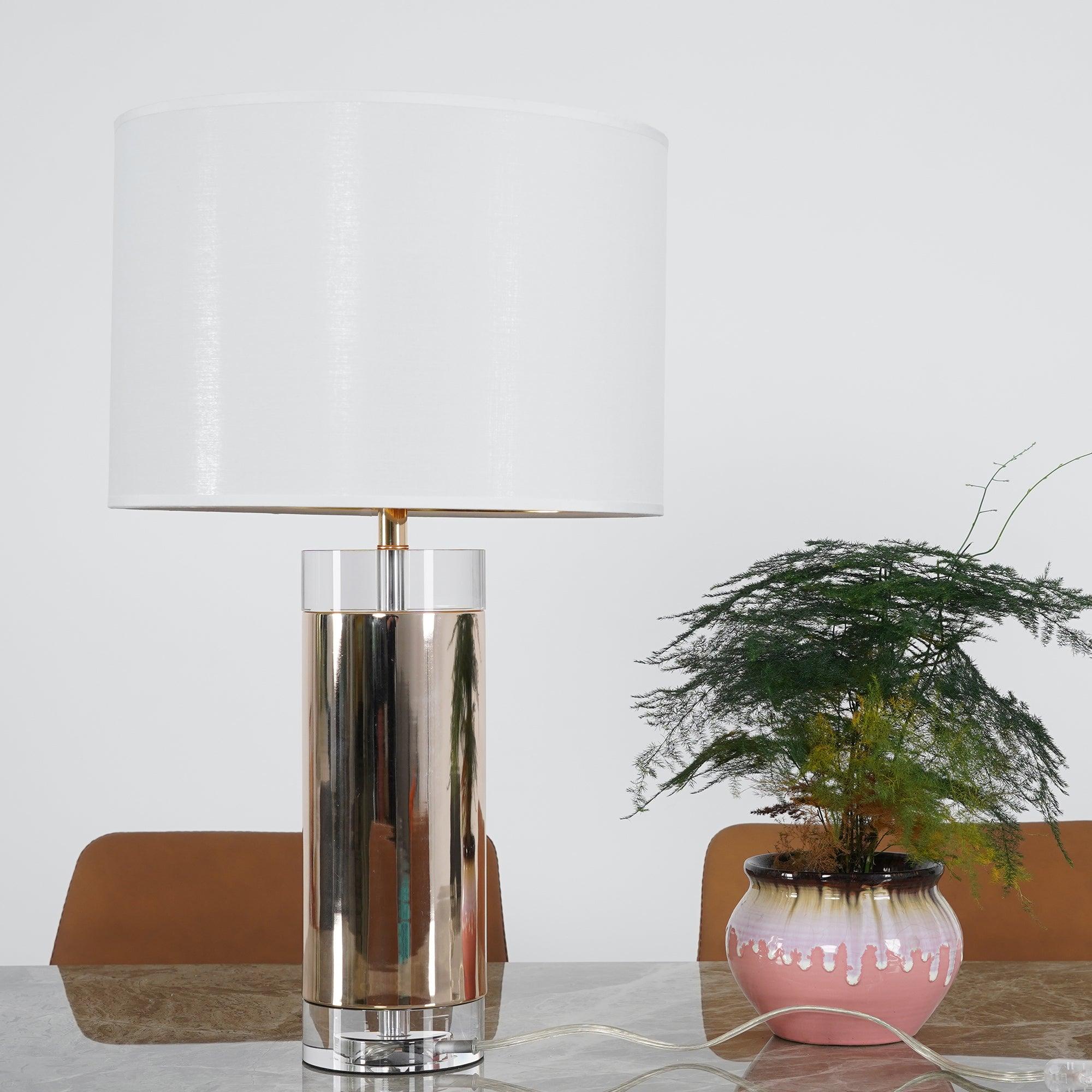 Reneleria Modern Table Lamp