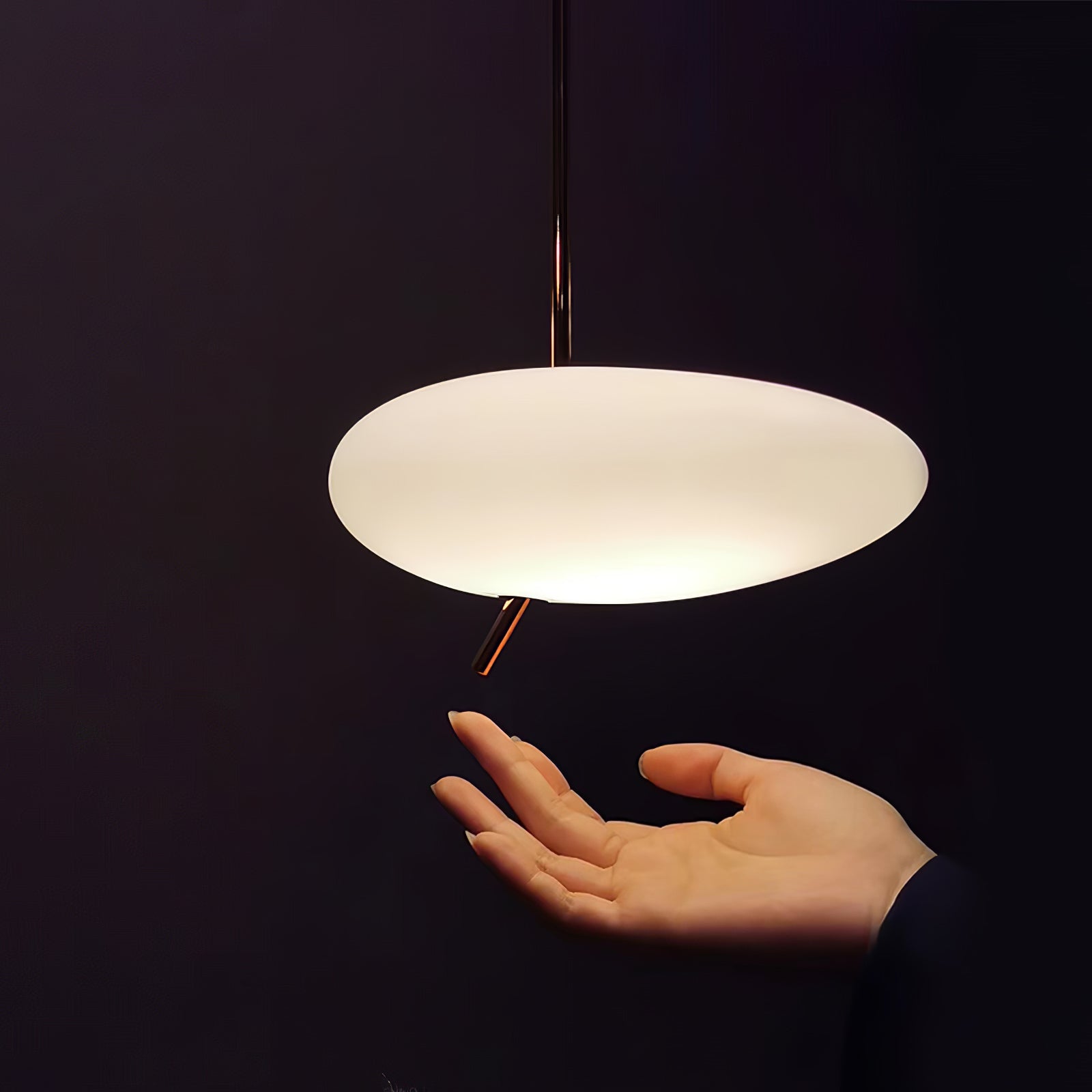 Velarena Modern Glass Pendant Light