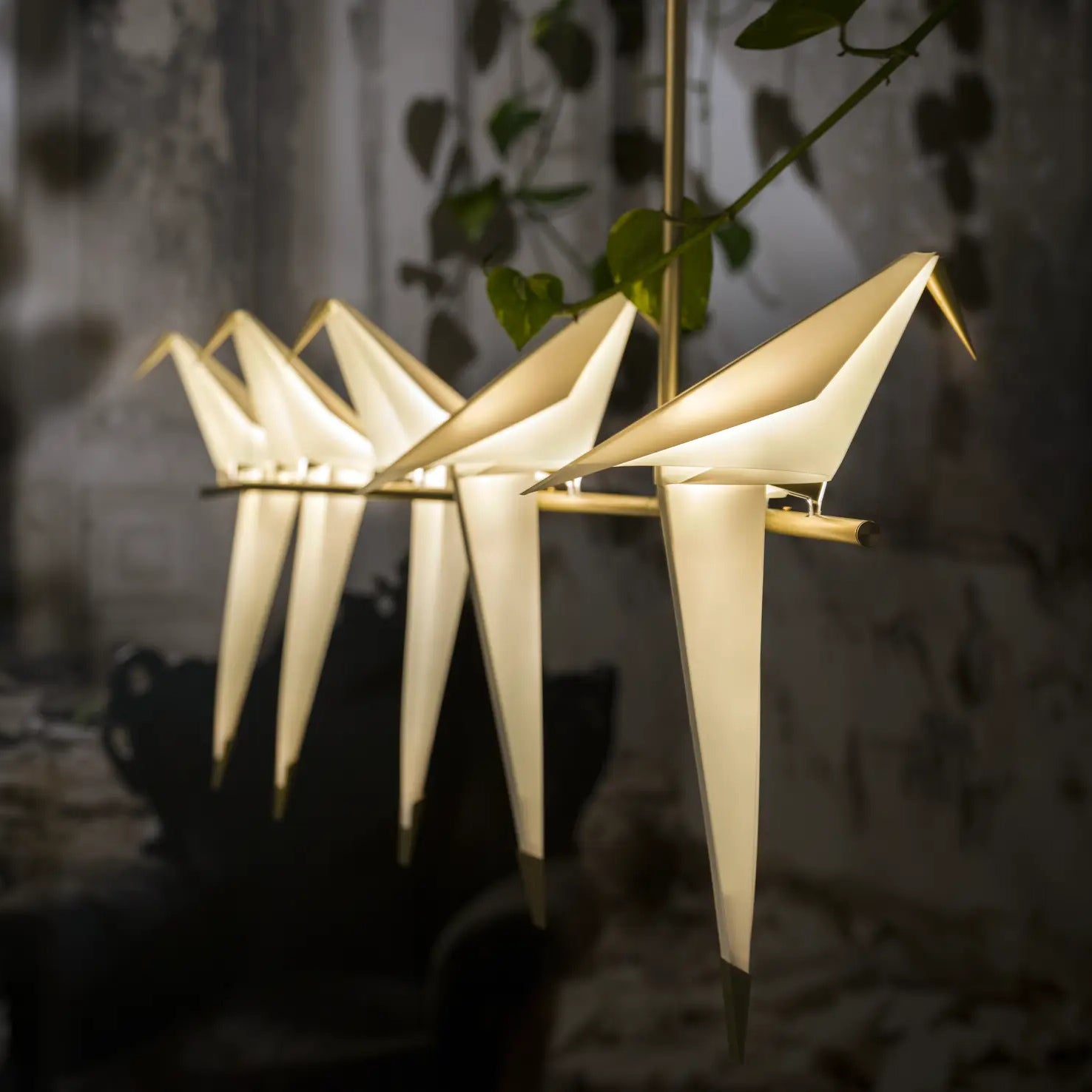 Ciririssa Chandelier