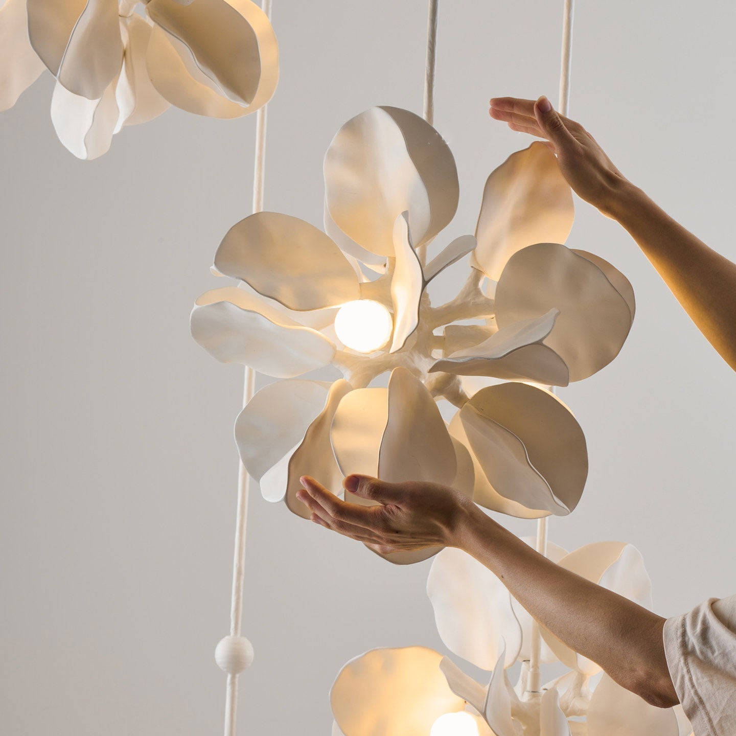 Terienian Chandelier