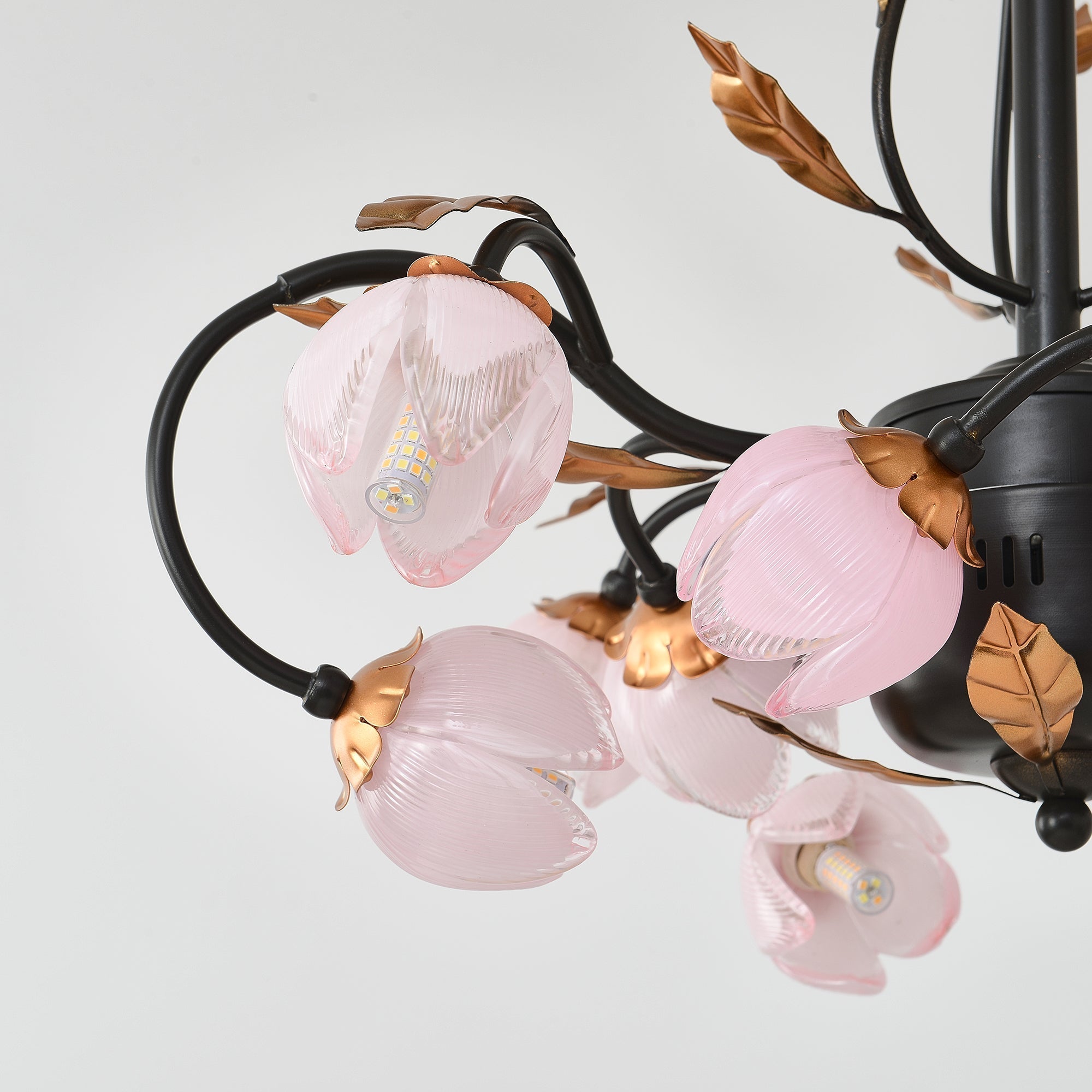 Sorirena Chandelier