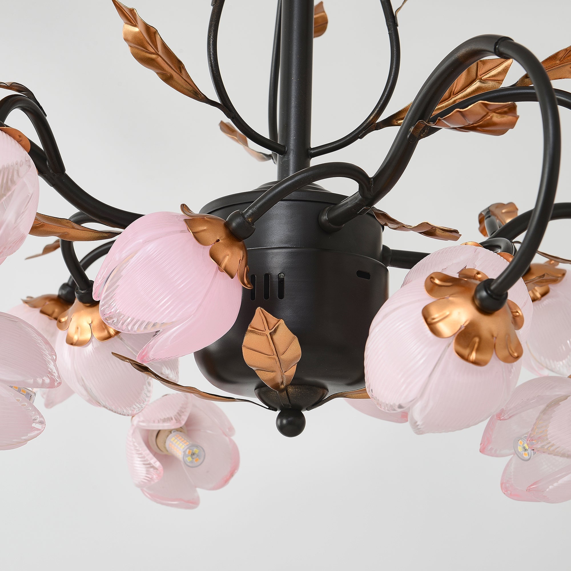 Sorirena Chandelier