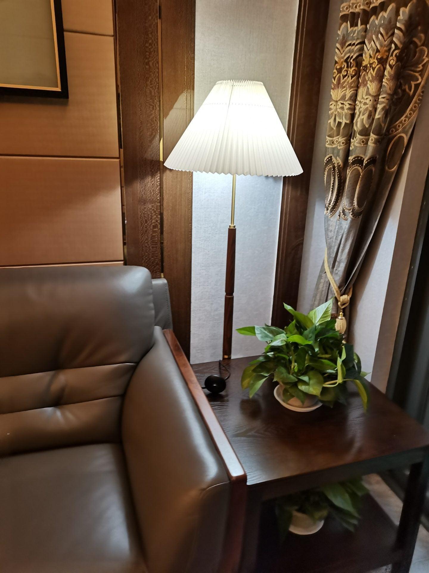 Syleina Minimalist Wood Floor Lamp