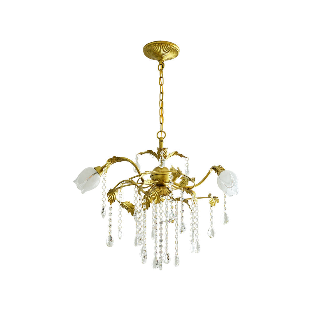 Vasorus Chandelier
