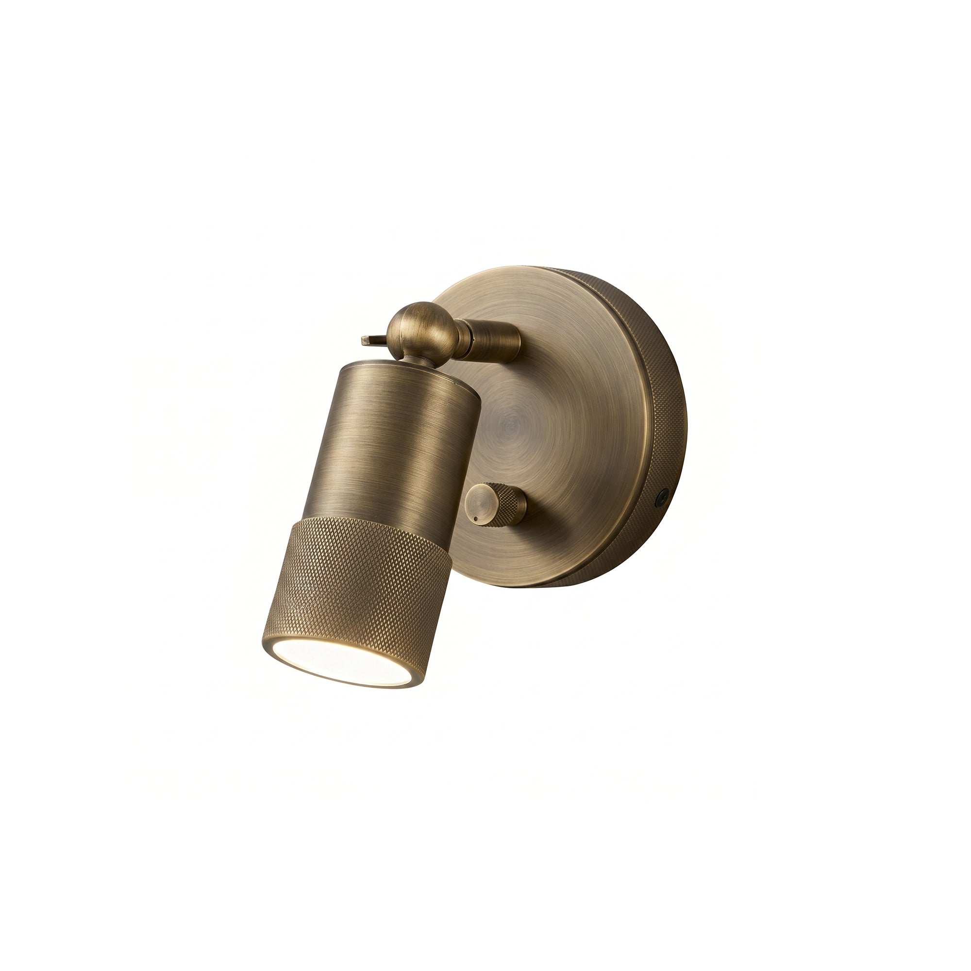 Ardencourt Brass Spotlight Indoor Wall Light