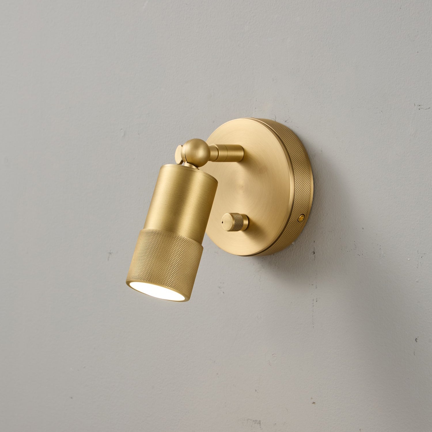 Ardencourt Brass Spotlight Indoor Wall Light