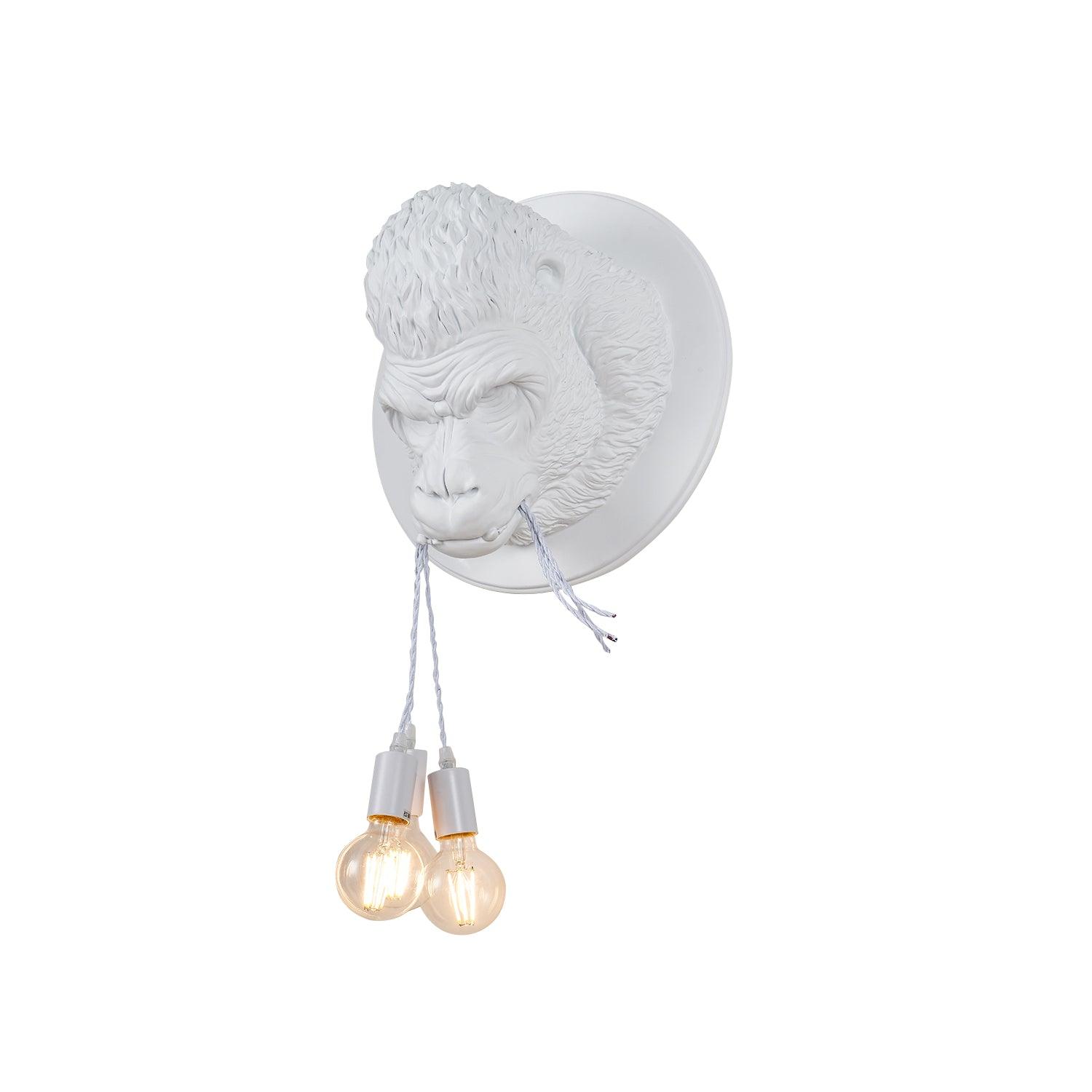 Emlen Premium Elegance Resin Sconce Wall Lamp