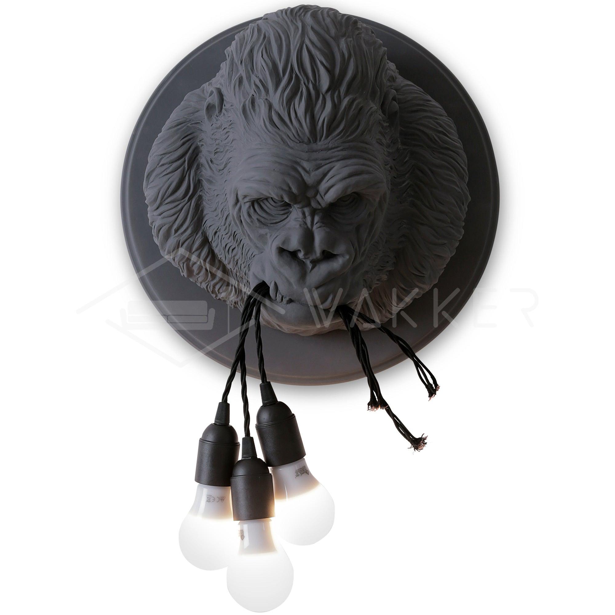 Emlen Premium Elegance Resin Sconce Wall Lamp