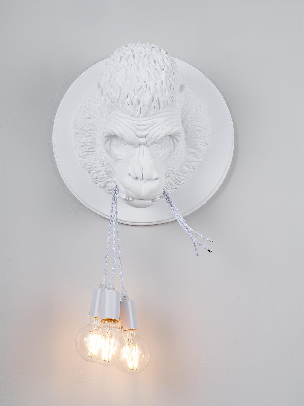 Emlen Premium Elegance Resin Sconce Wall Lamp