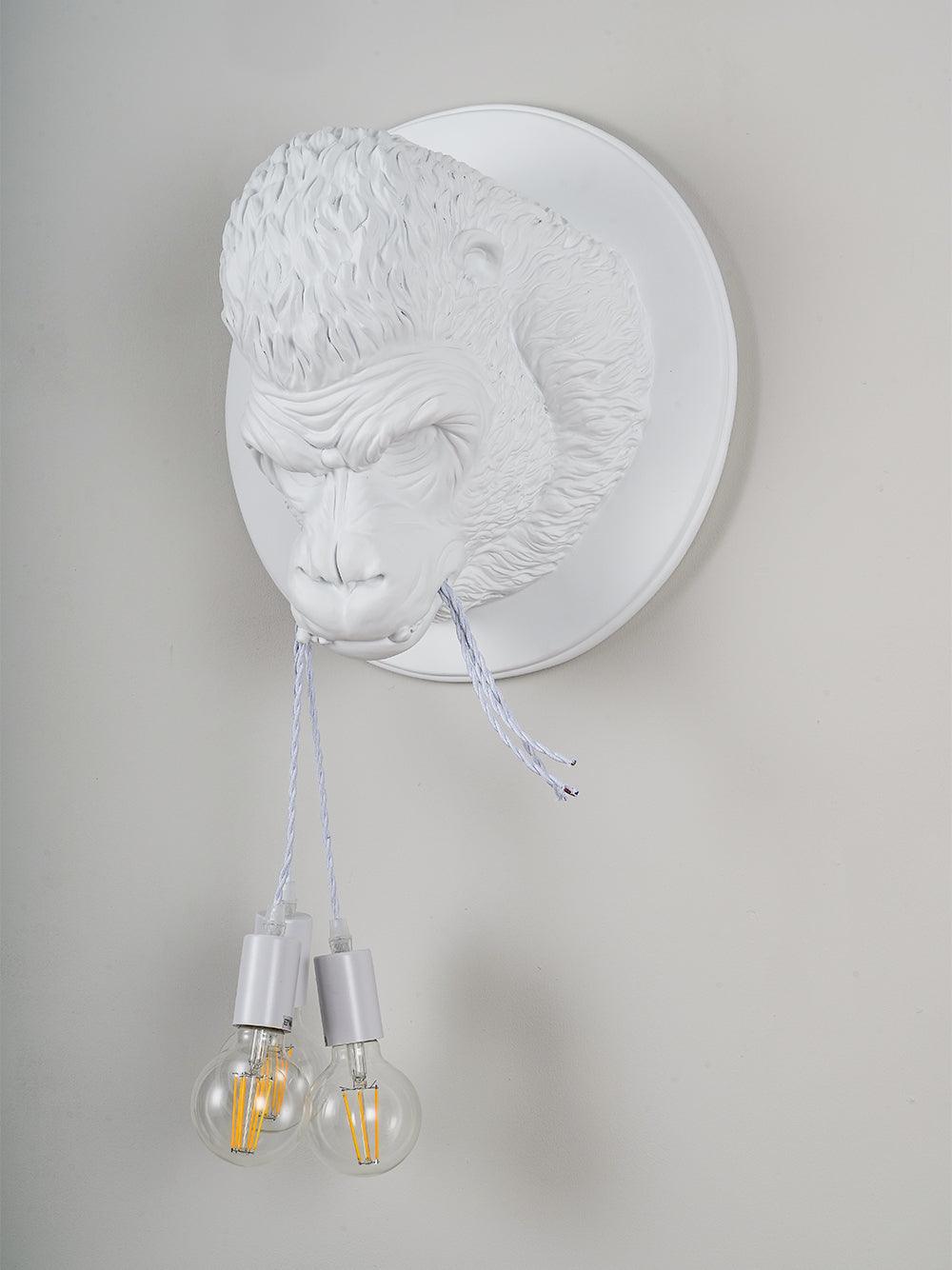 Emlen Premium Elegance Resin Sconce Wall Lamp