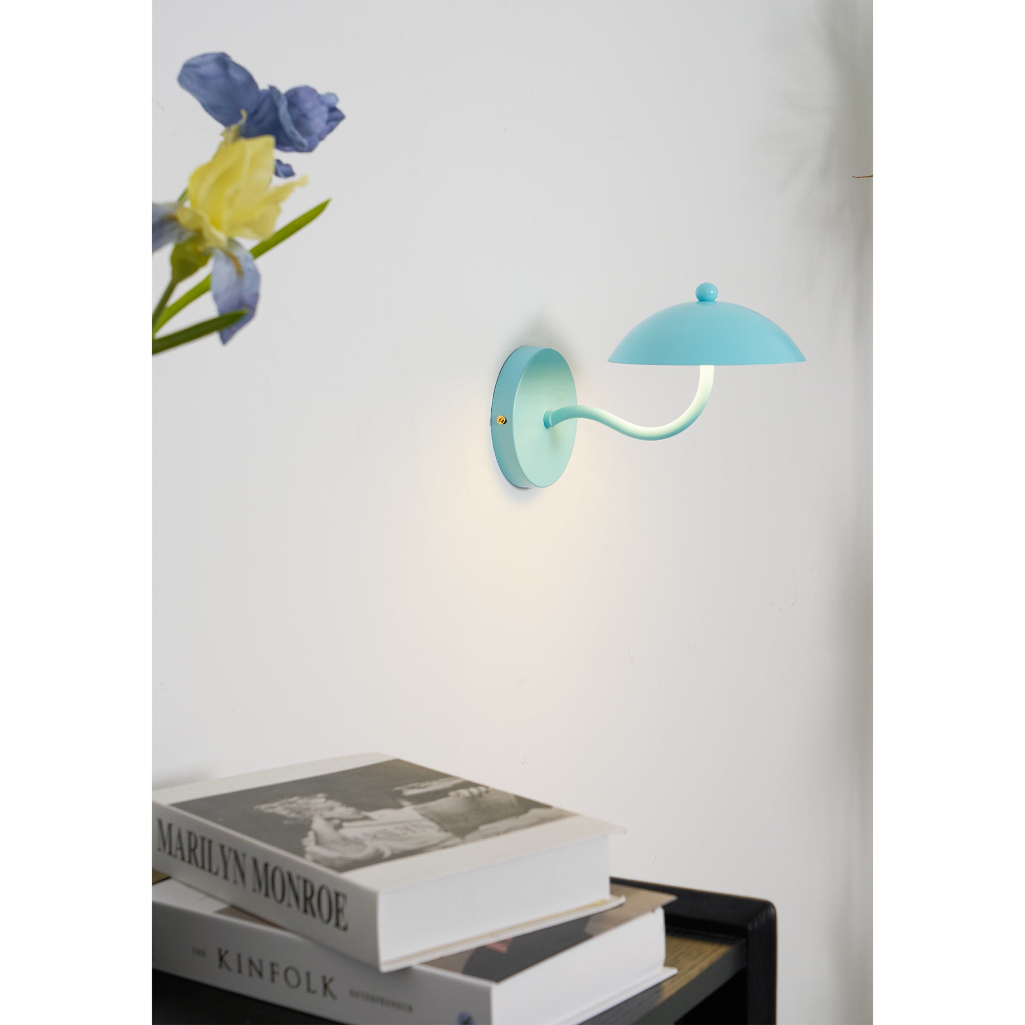 Noraaya Wall Lamp