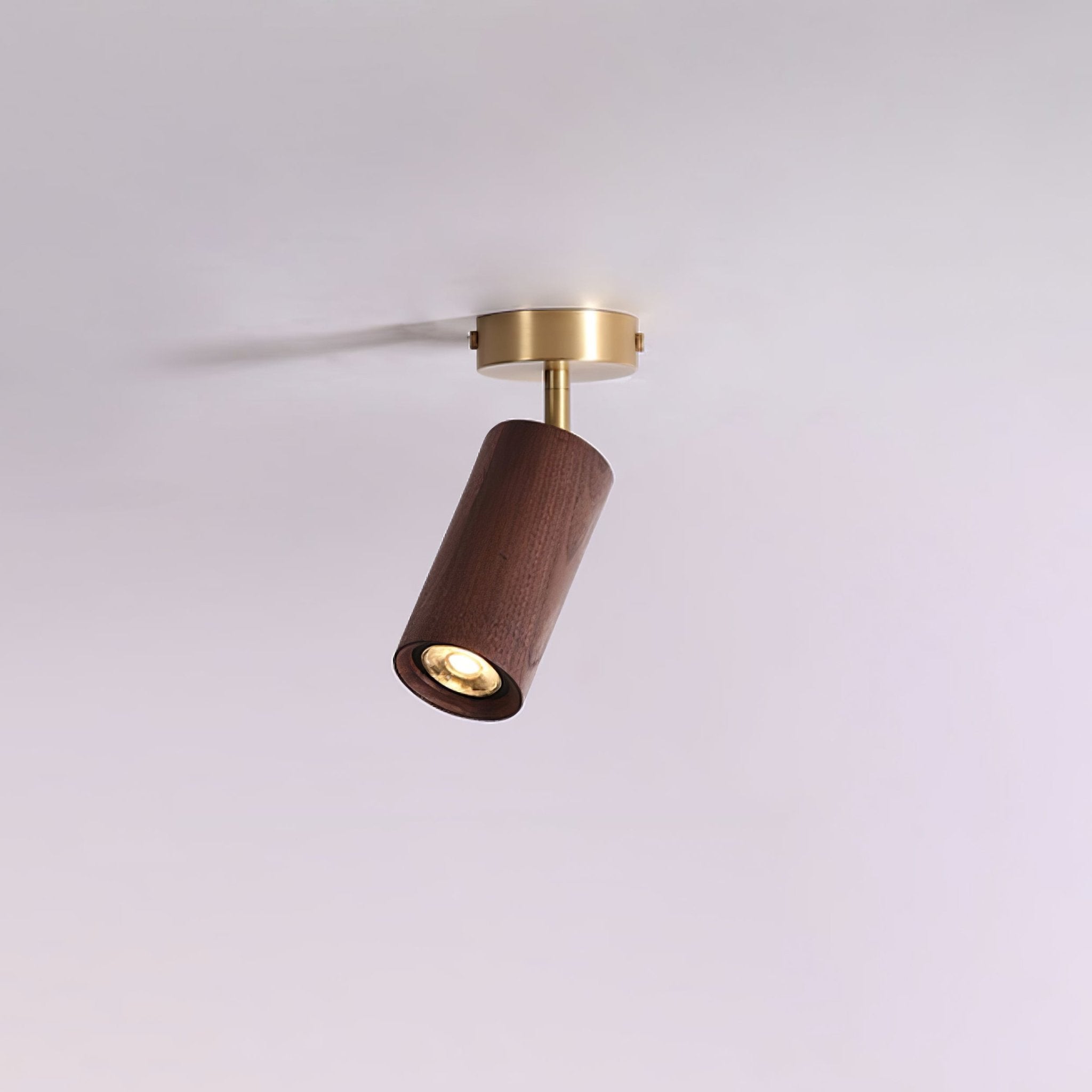 Usolila Modern Minimalist Wood Ceiling Light