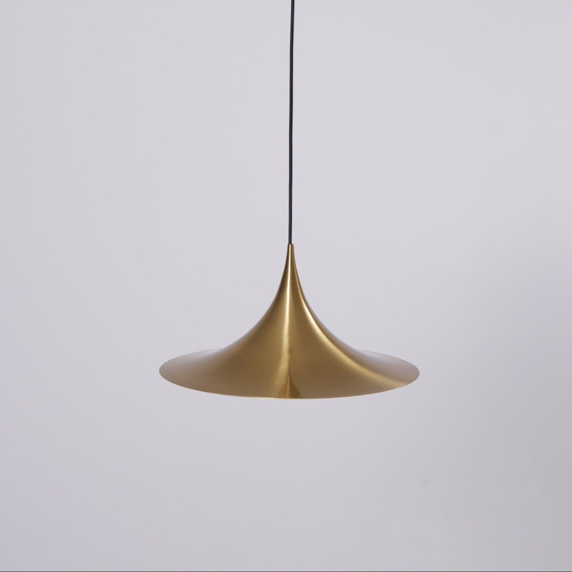 Lioreina Swag Pendant Light