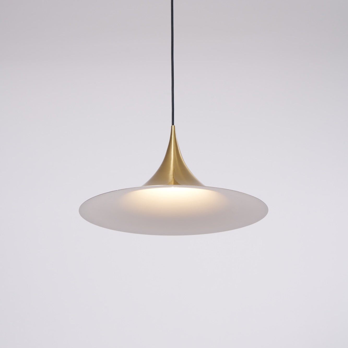 Lioreina Swag Pendant Light
