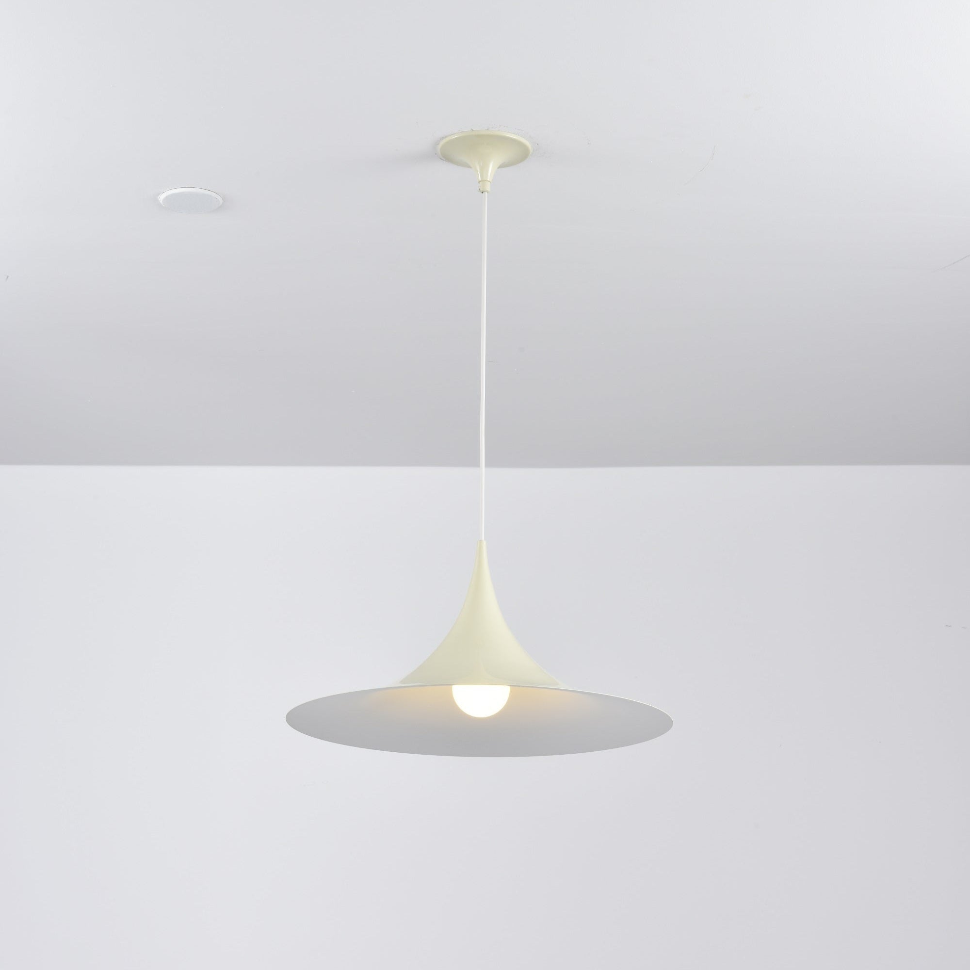 Valerira Steel Sculptural Pendant Light