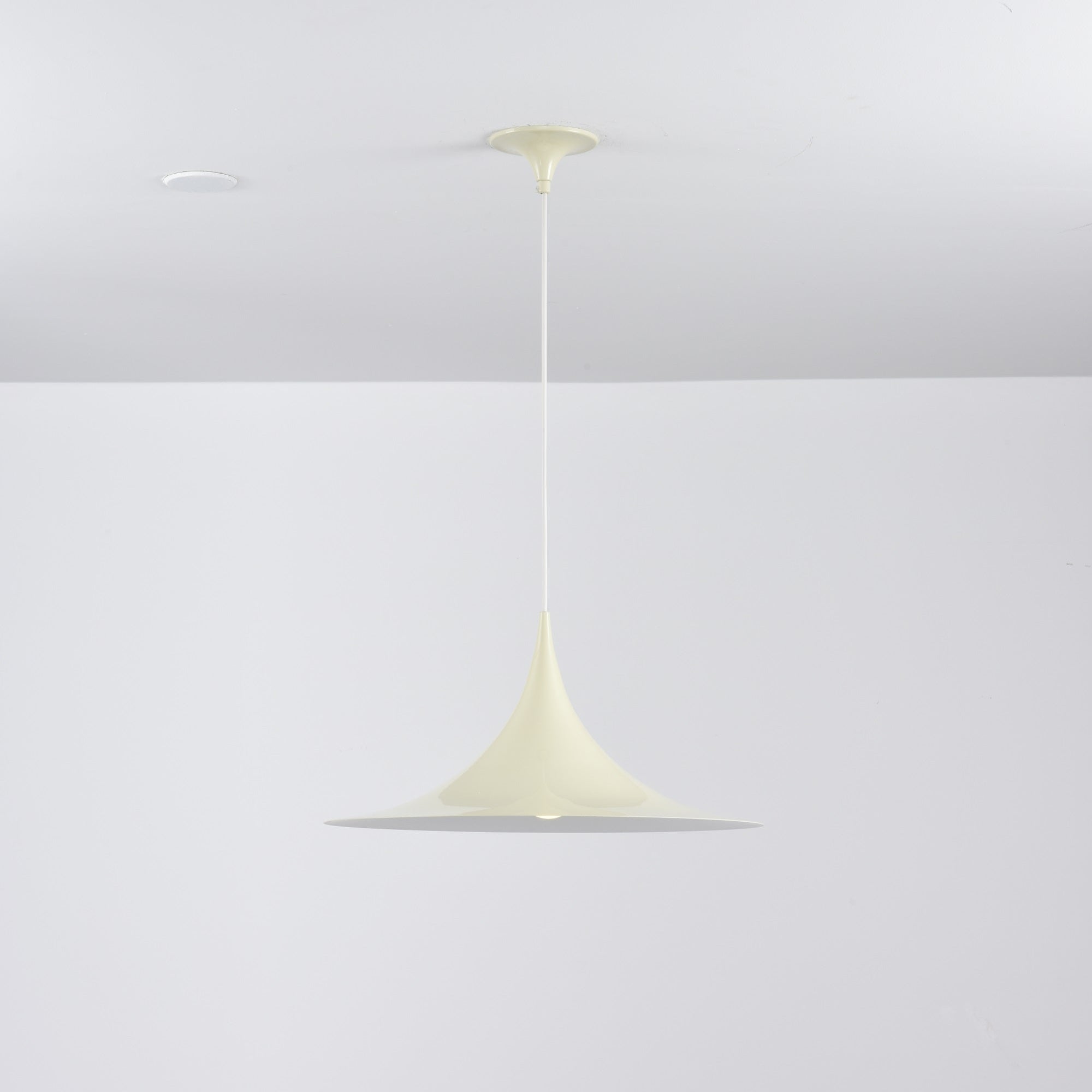Lioreina Swag Pendant Light