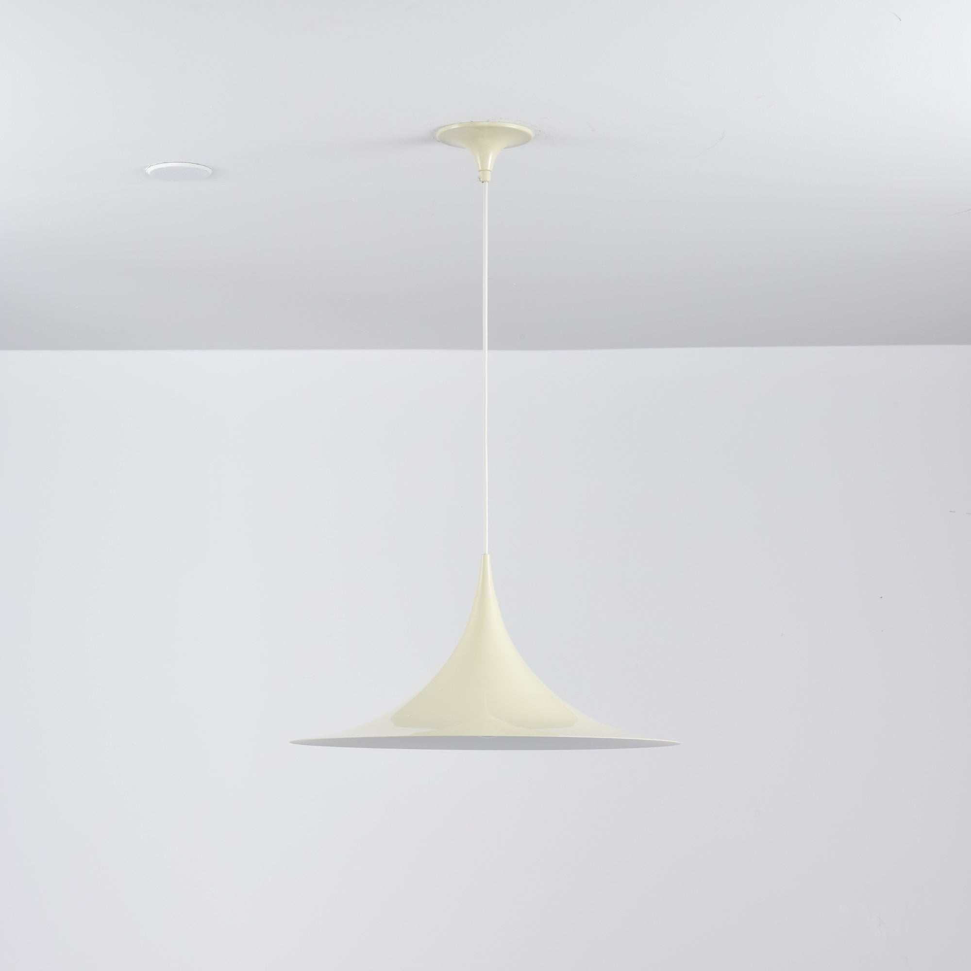 Lioreina Swag Pendant Light