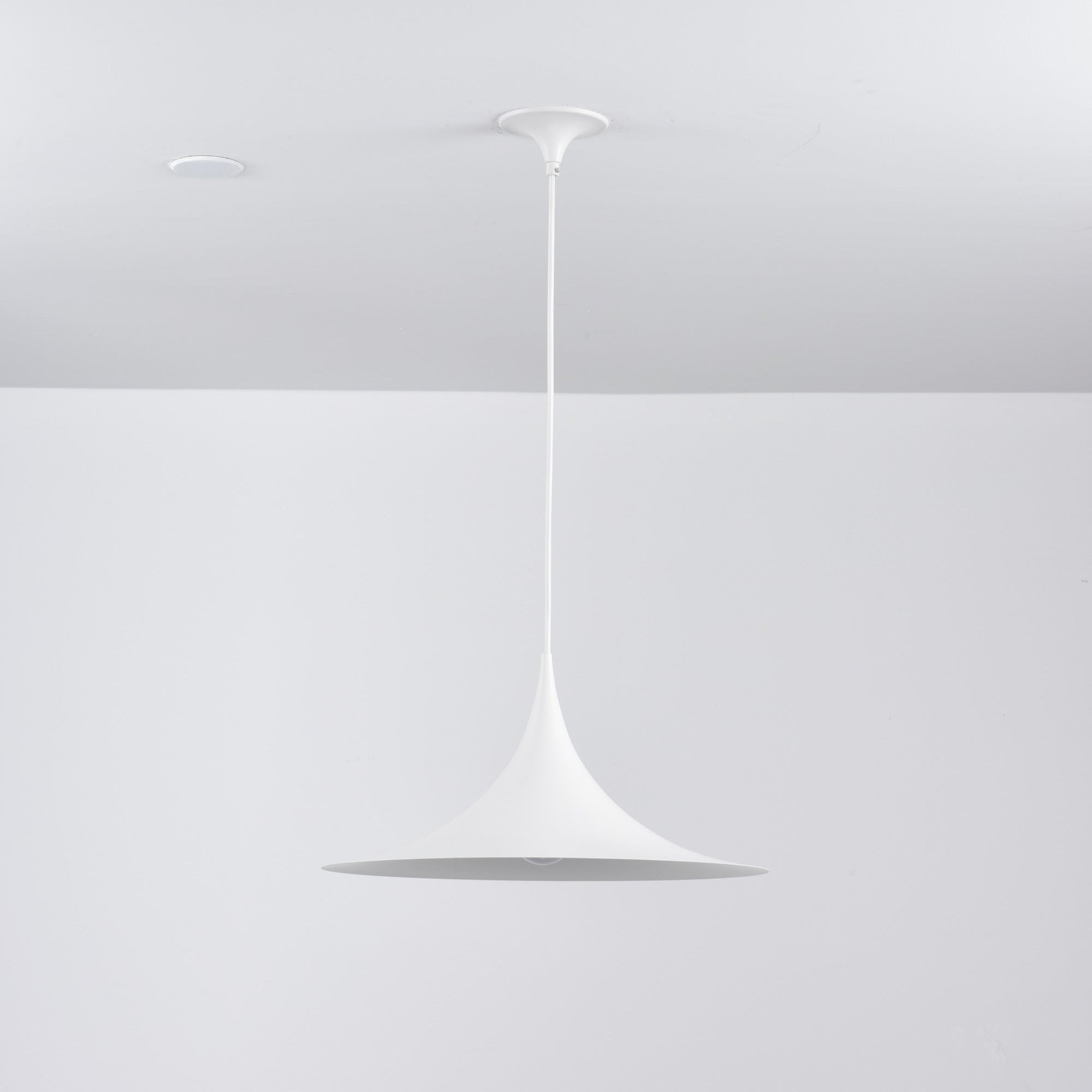 Lioreina Swag Pendant Light