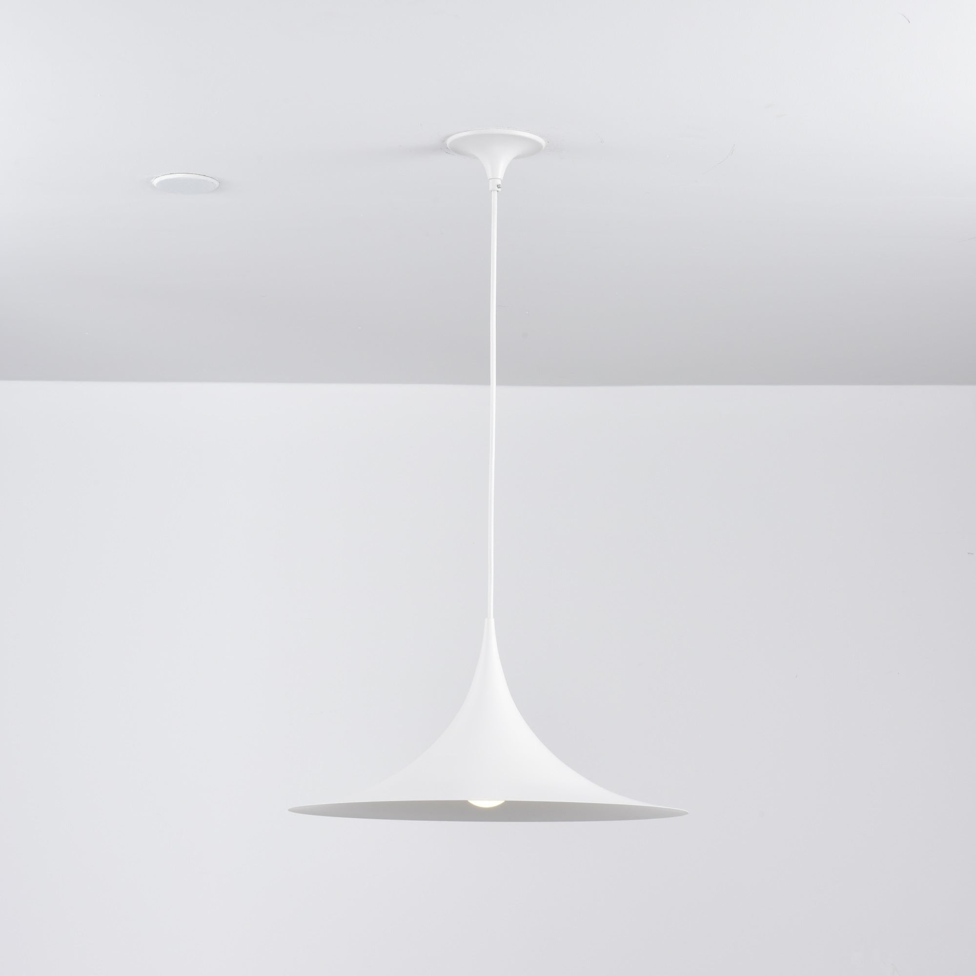 Valerira Steel Sculptural Pendant Light