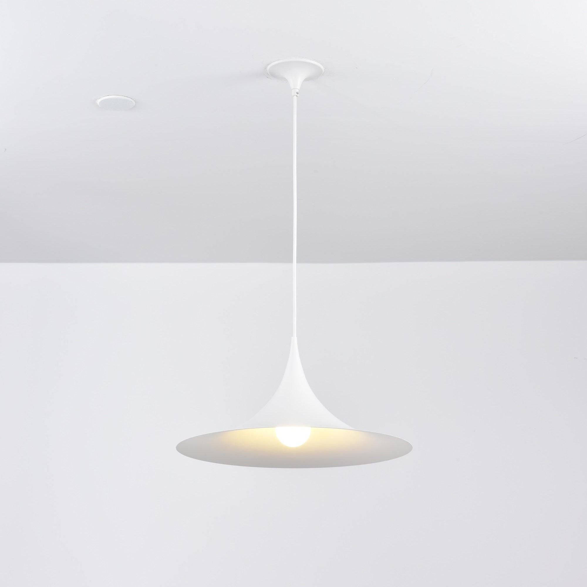 Lioreina Swag Pendant Light