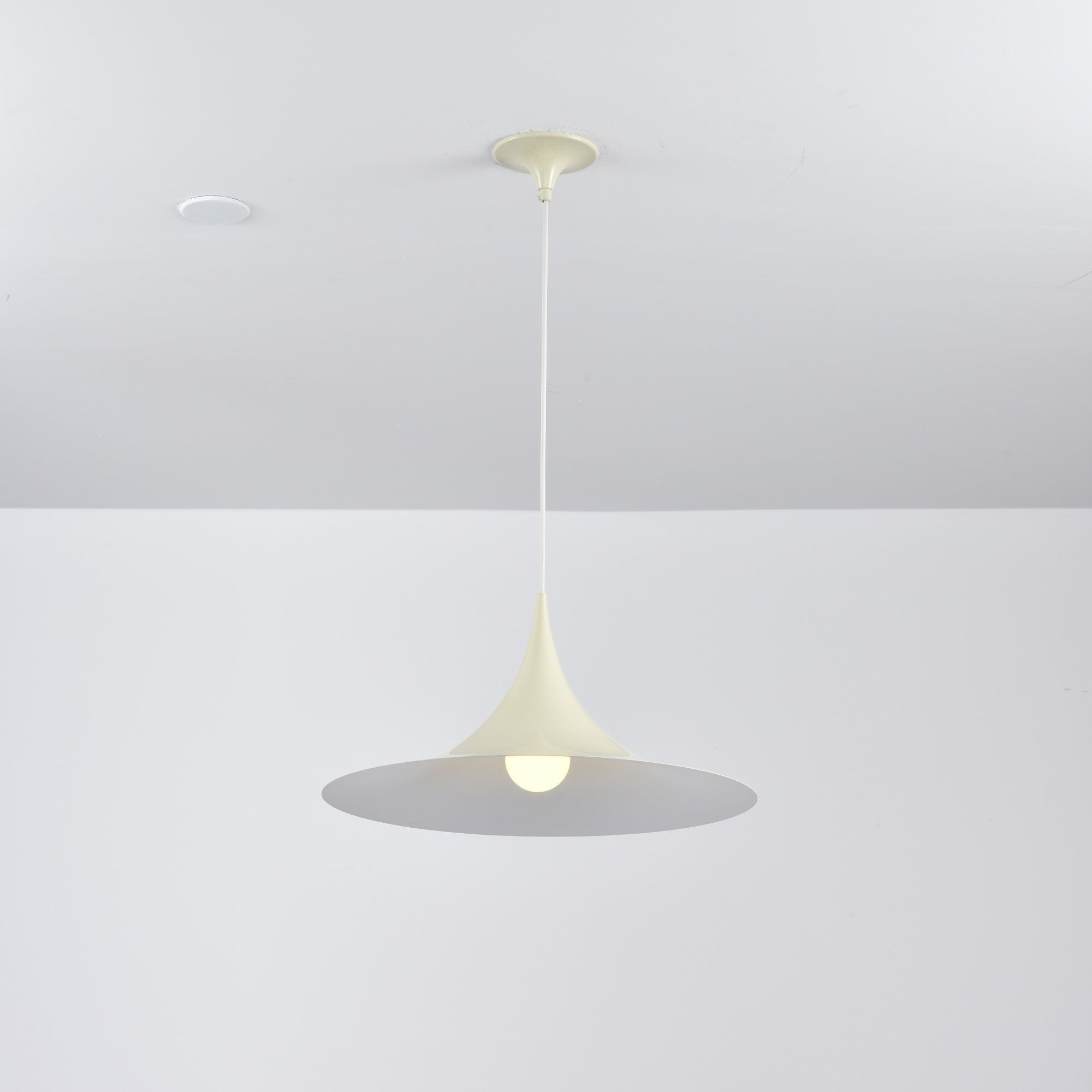 Lioreina Swag Pendant Light