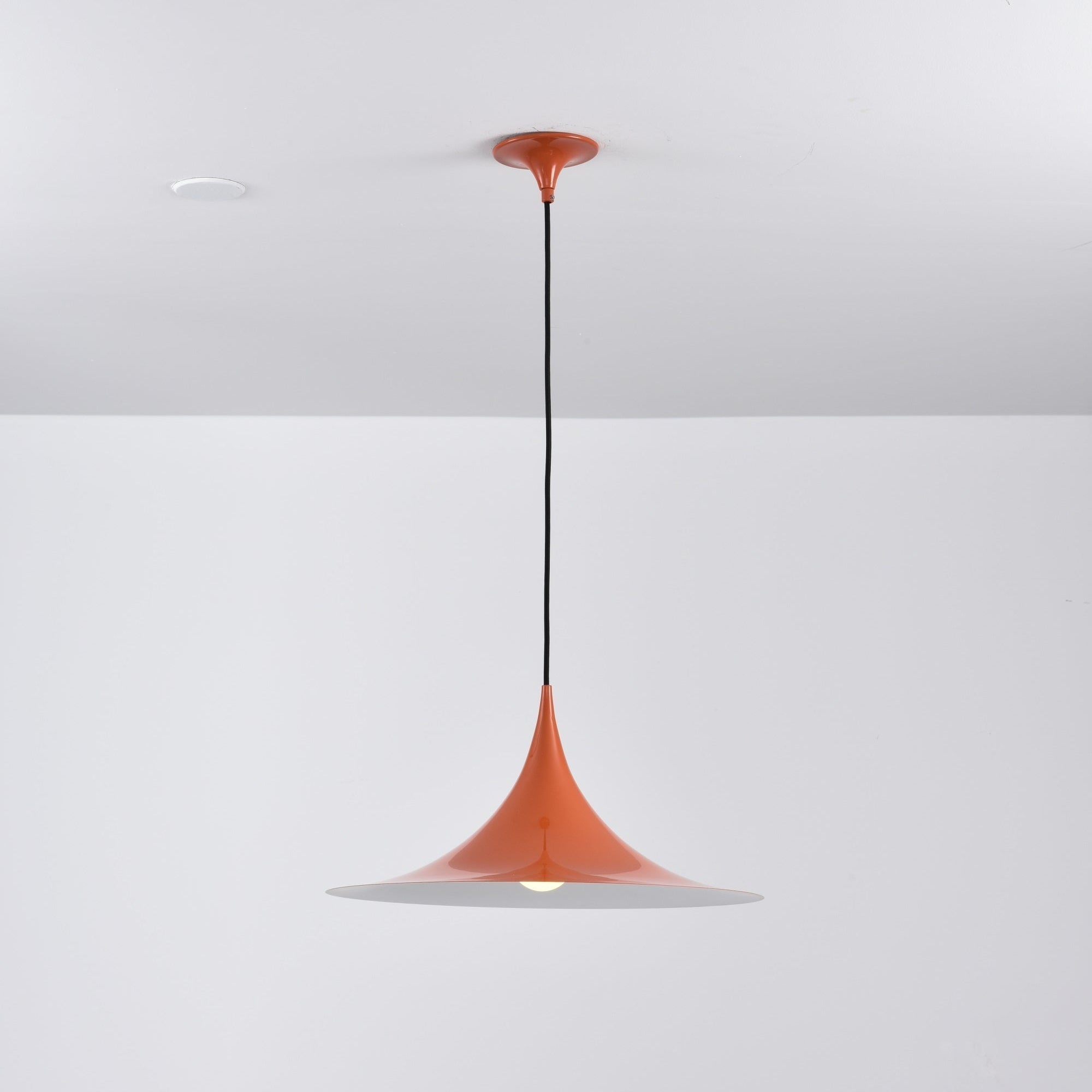 Valerira Steel Sculptural Pendant Light