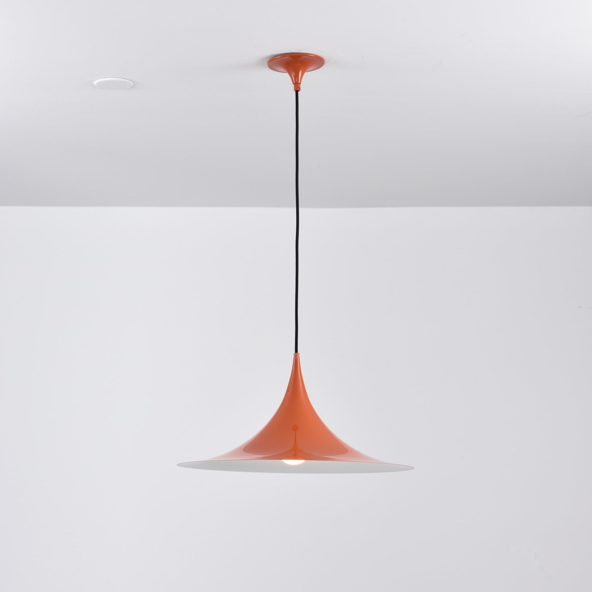 Lioreina Swag Pendant Light