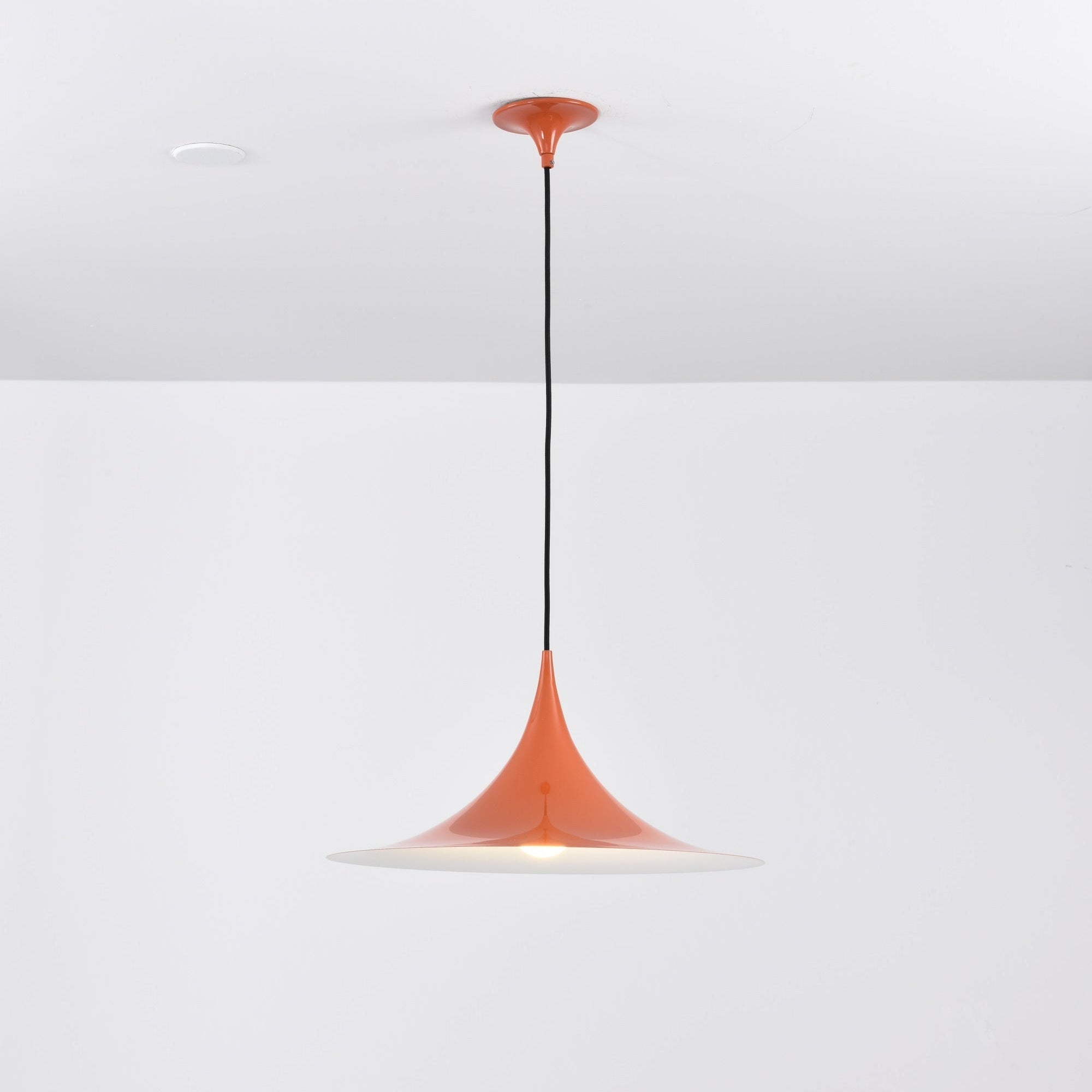 Lioreina Swag Pendant Light