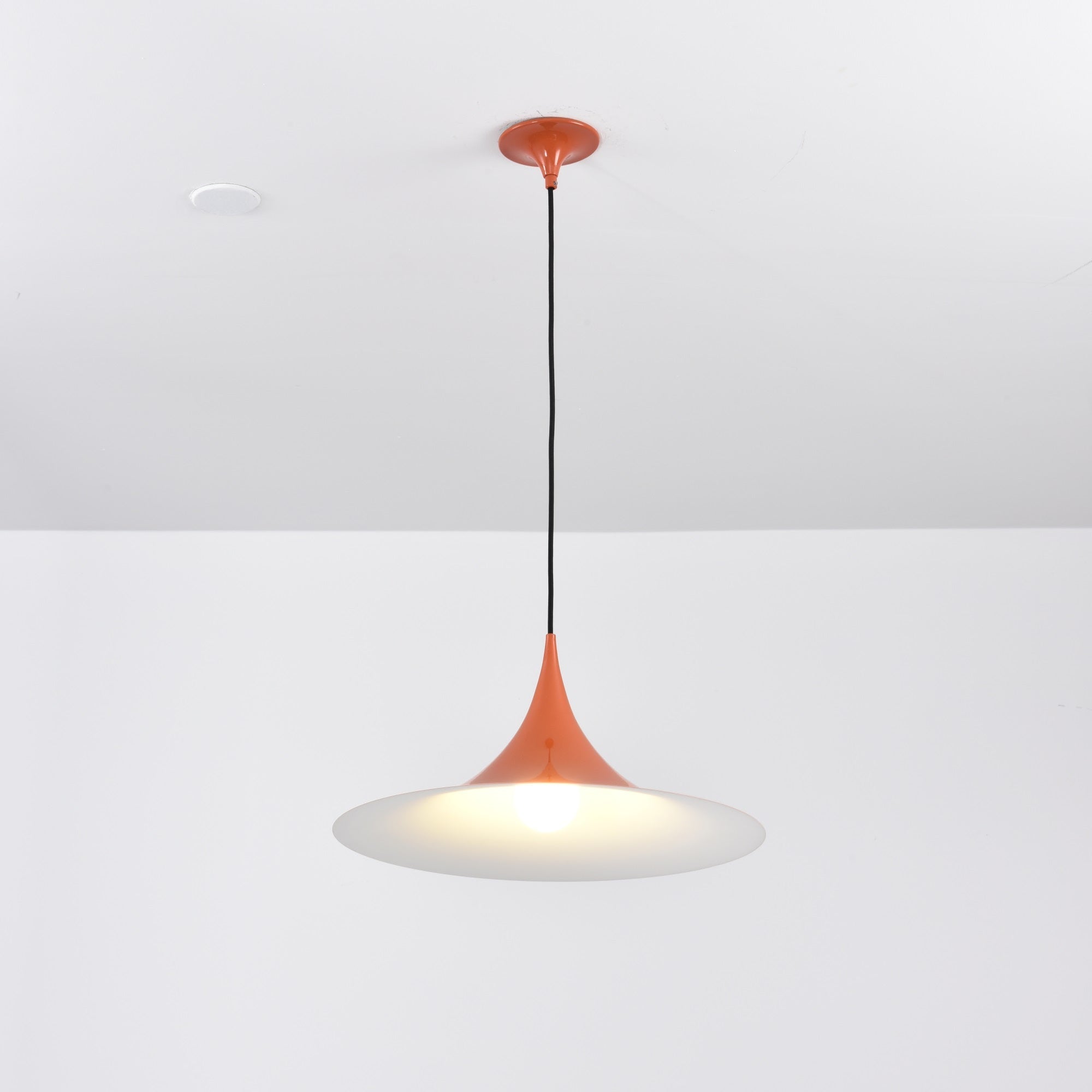 Lioreina Swag Pendant Light