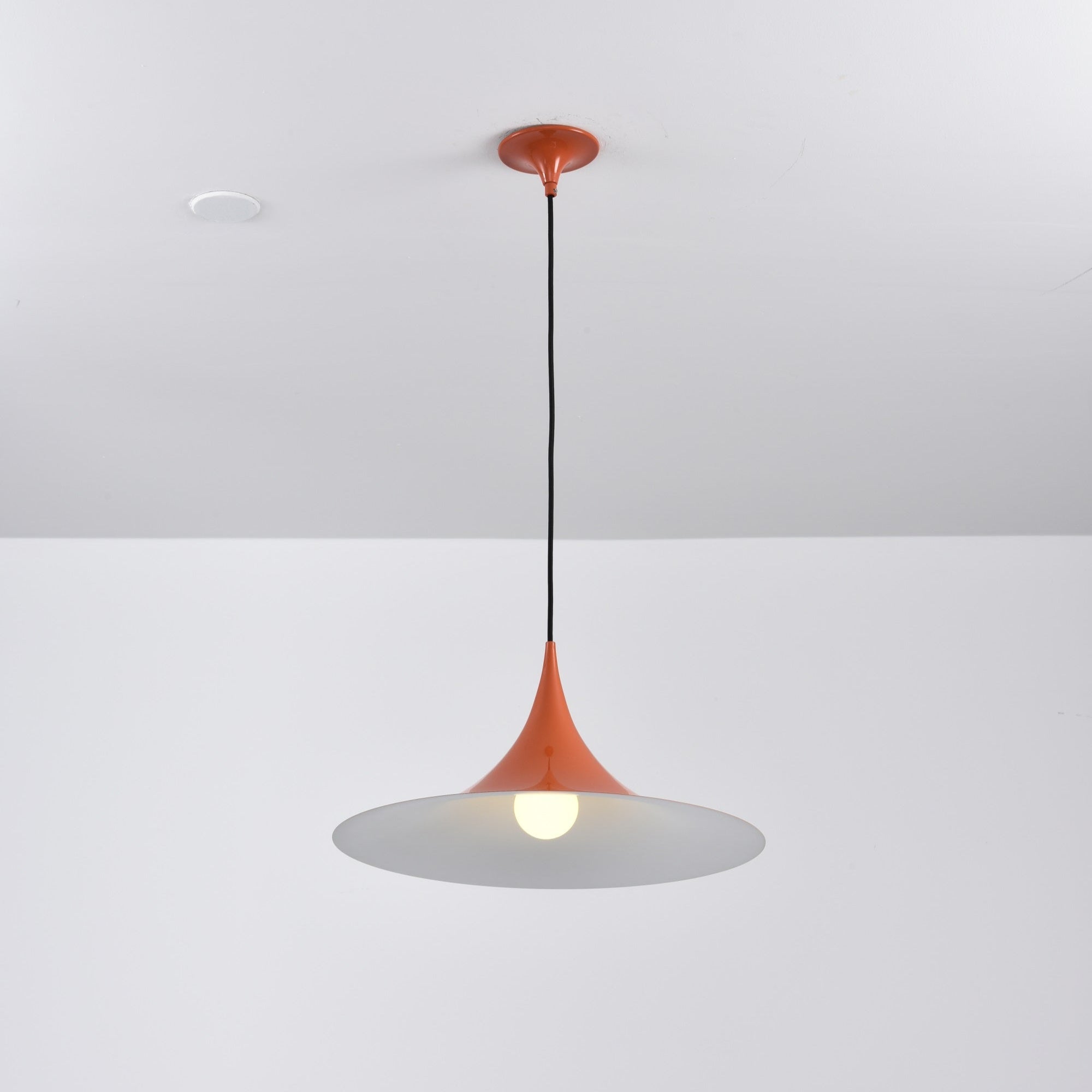 Lioreina Swag Pendant Light