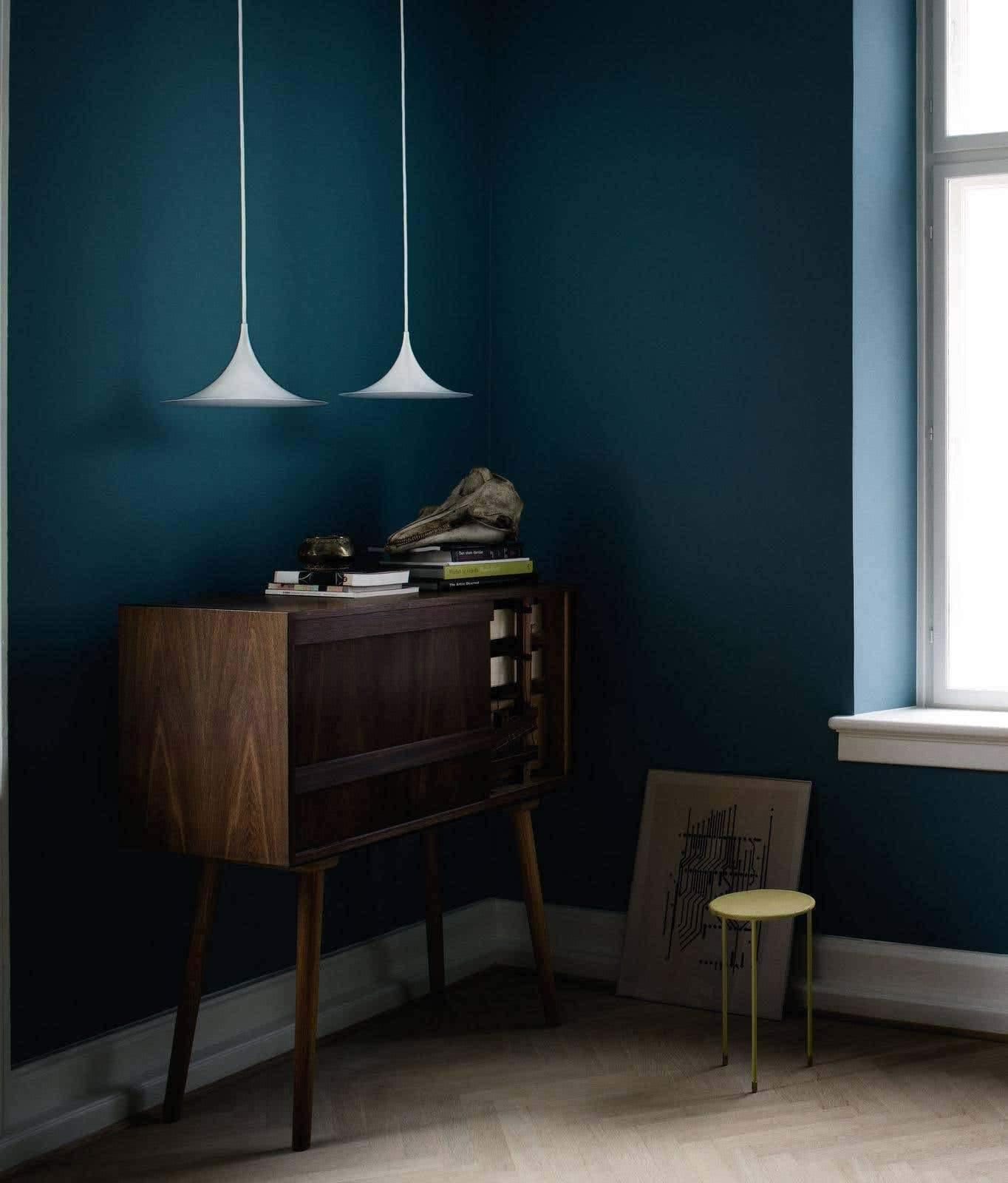 Lioreina Swag Pendant Light