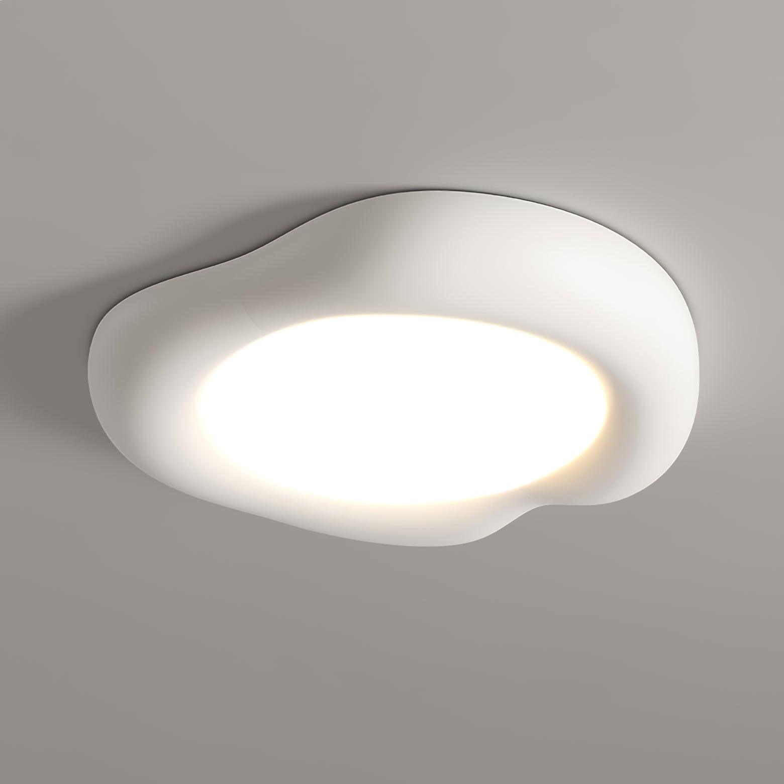 Zelaeis Shaped Apple Resin Ceiling Lamp