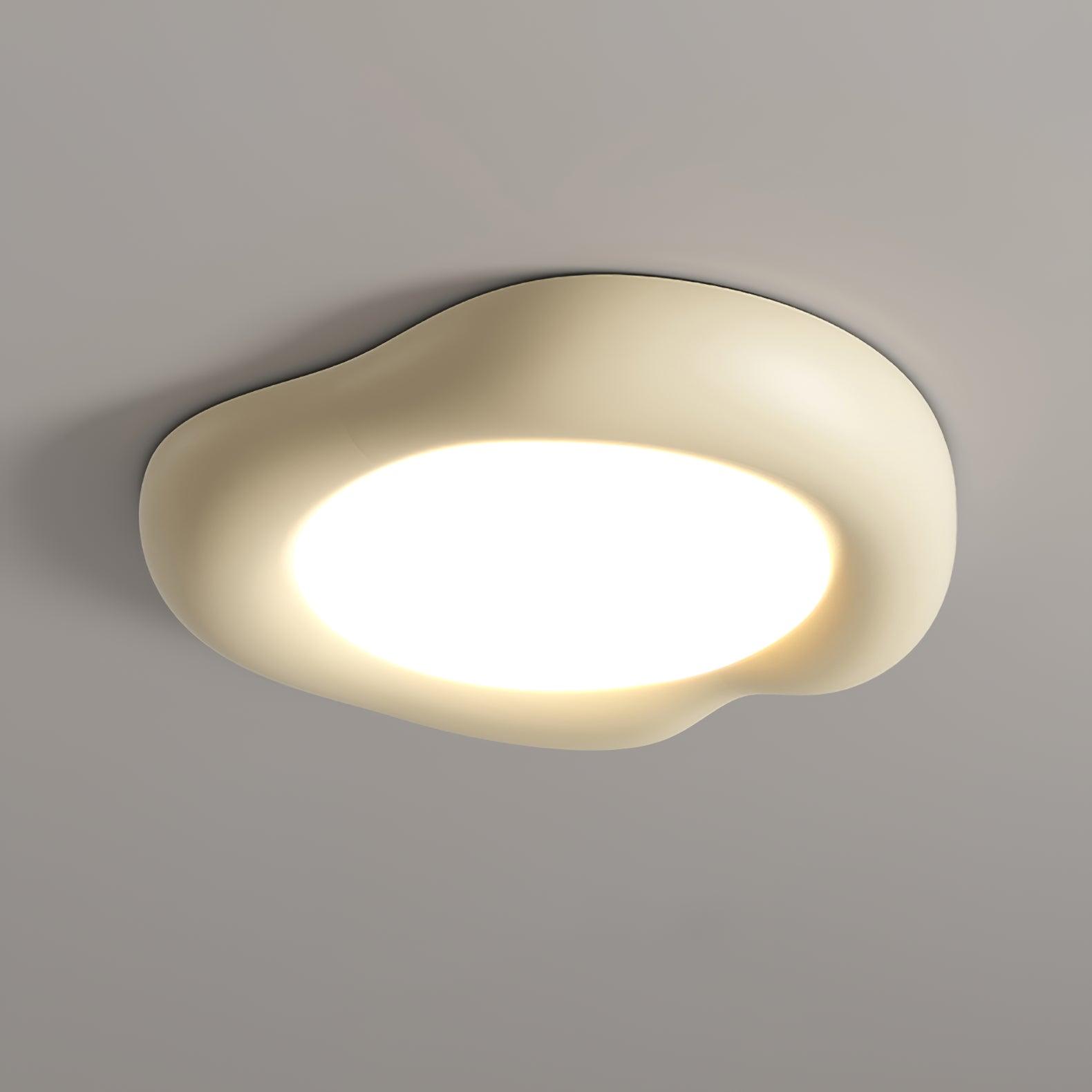 Zelaeis Shaped Apple Resin Ceiling Lamp