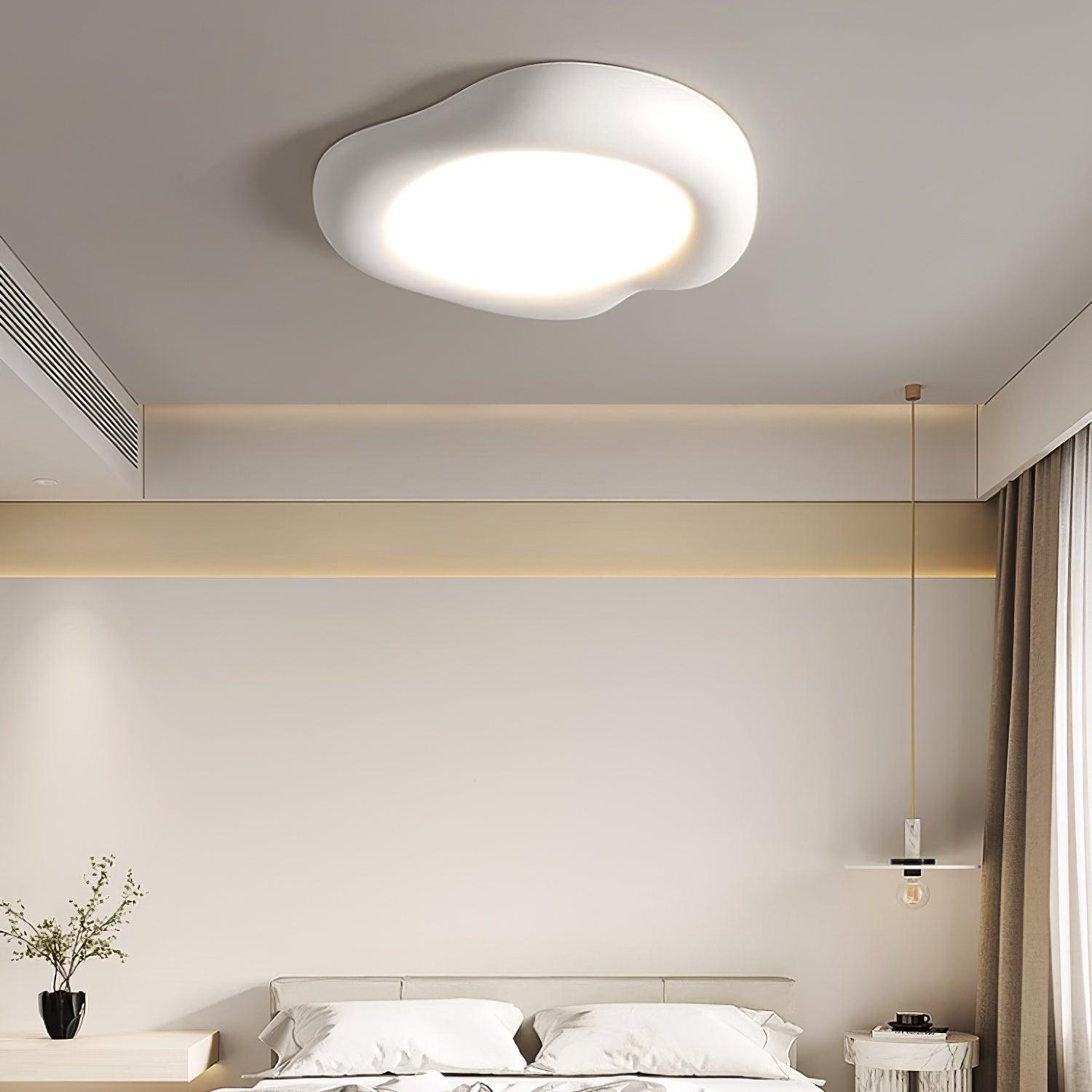 Zelaeis Shaped Apple Resin Ceiling Lamp