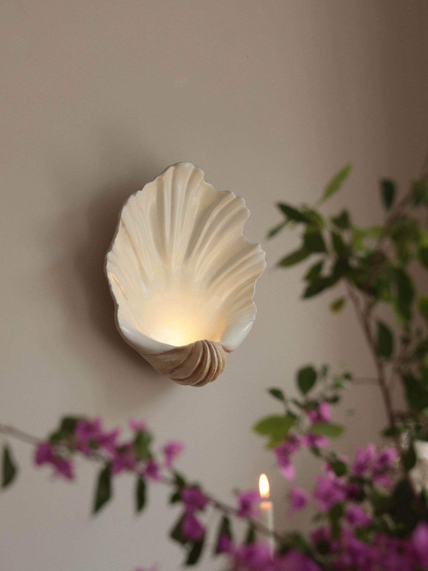 Shell Wall Sconce