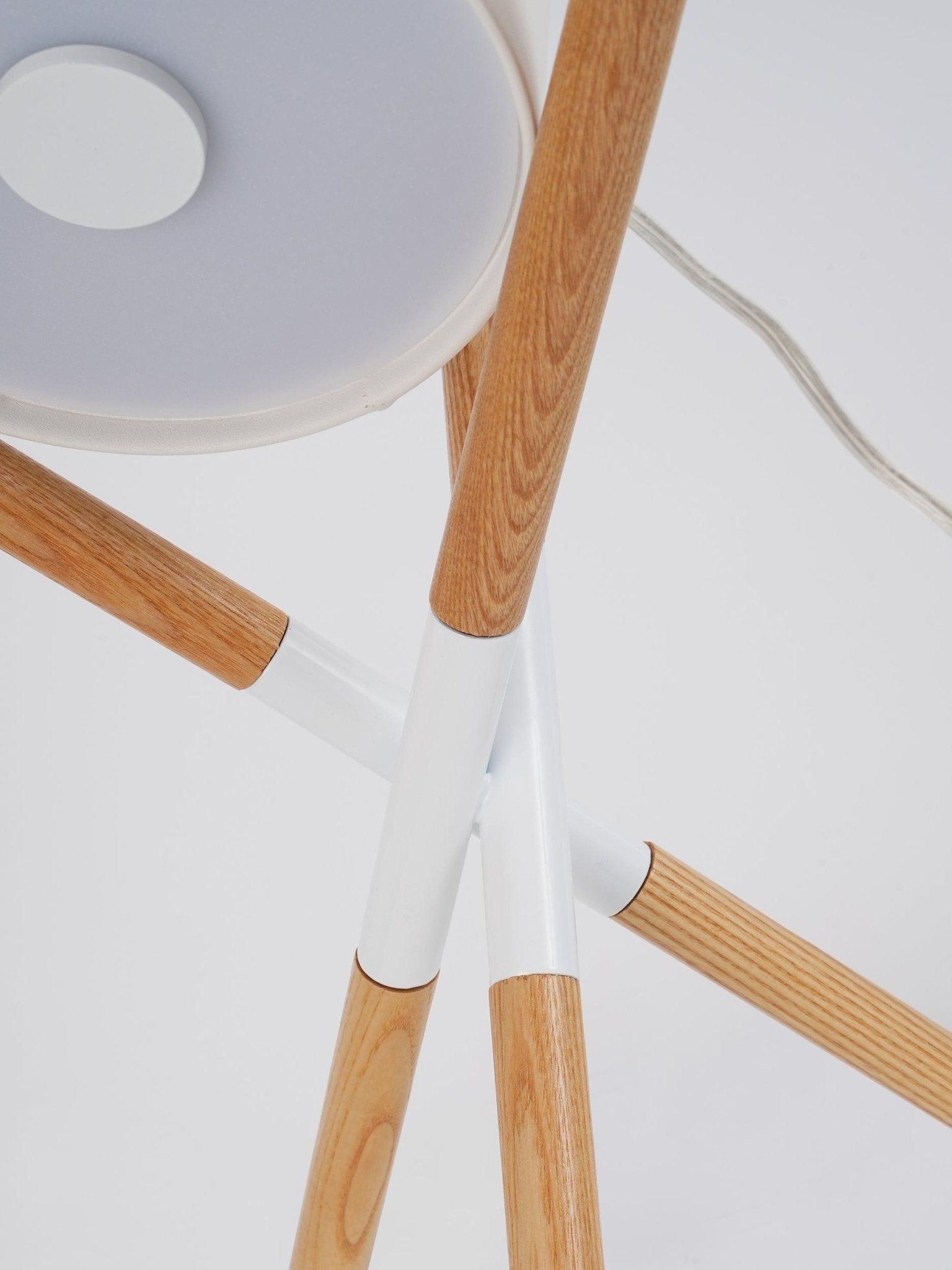 Daphane Modern Table Lamp
